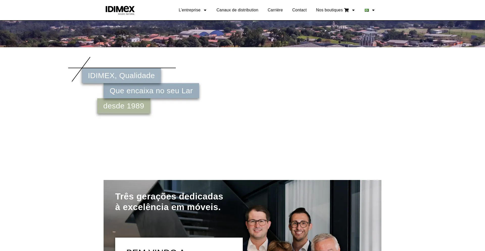Website screenshot of Idimex.ind.br