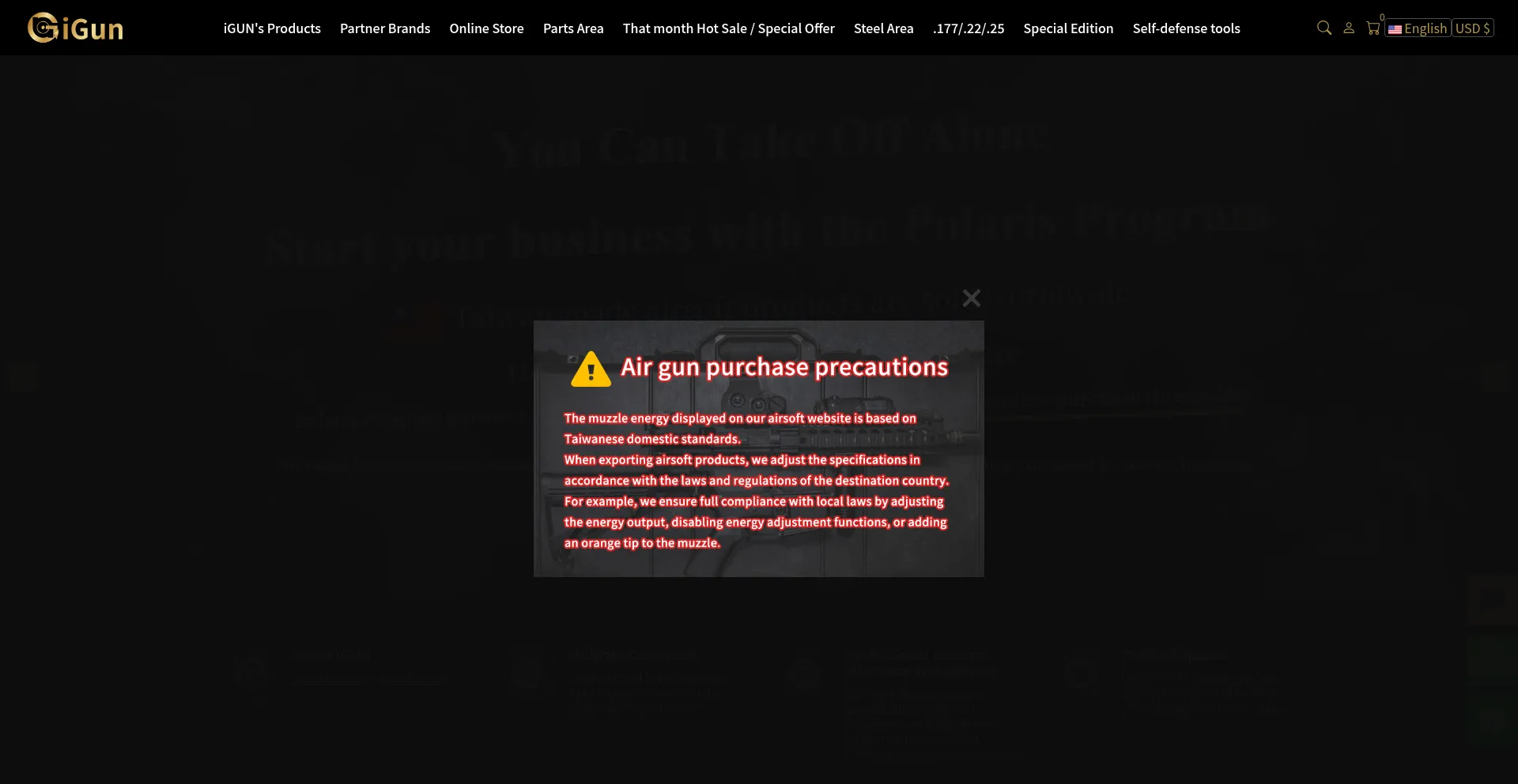 Website screenshot of Igunairsoft.com