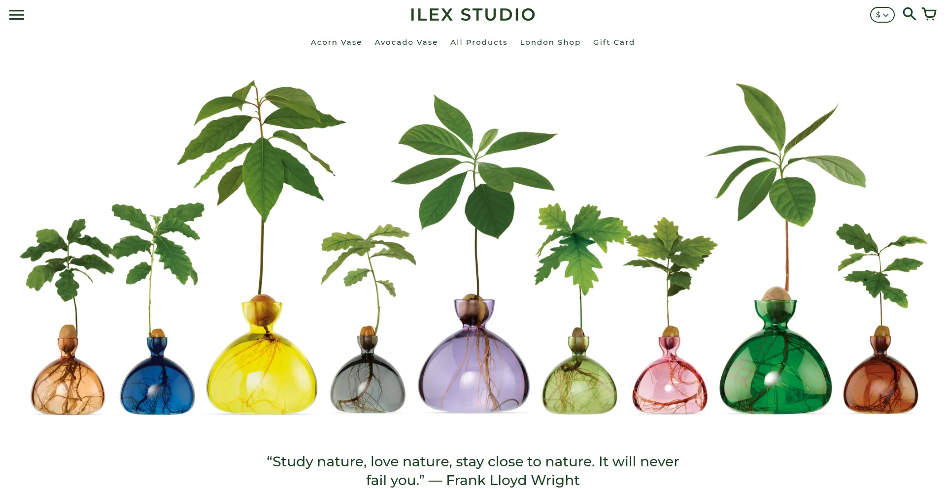 Ilexstudio.com