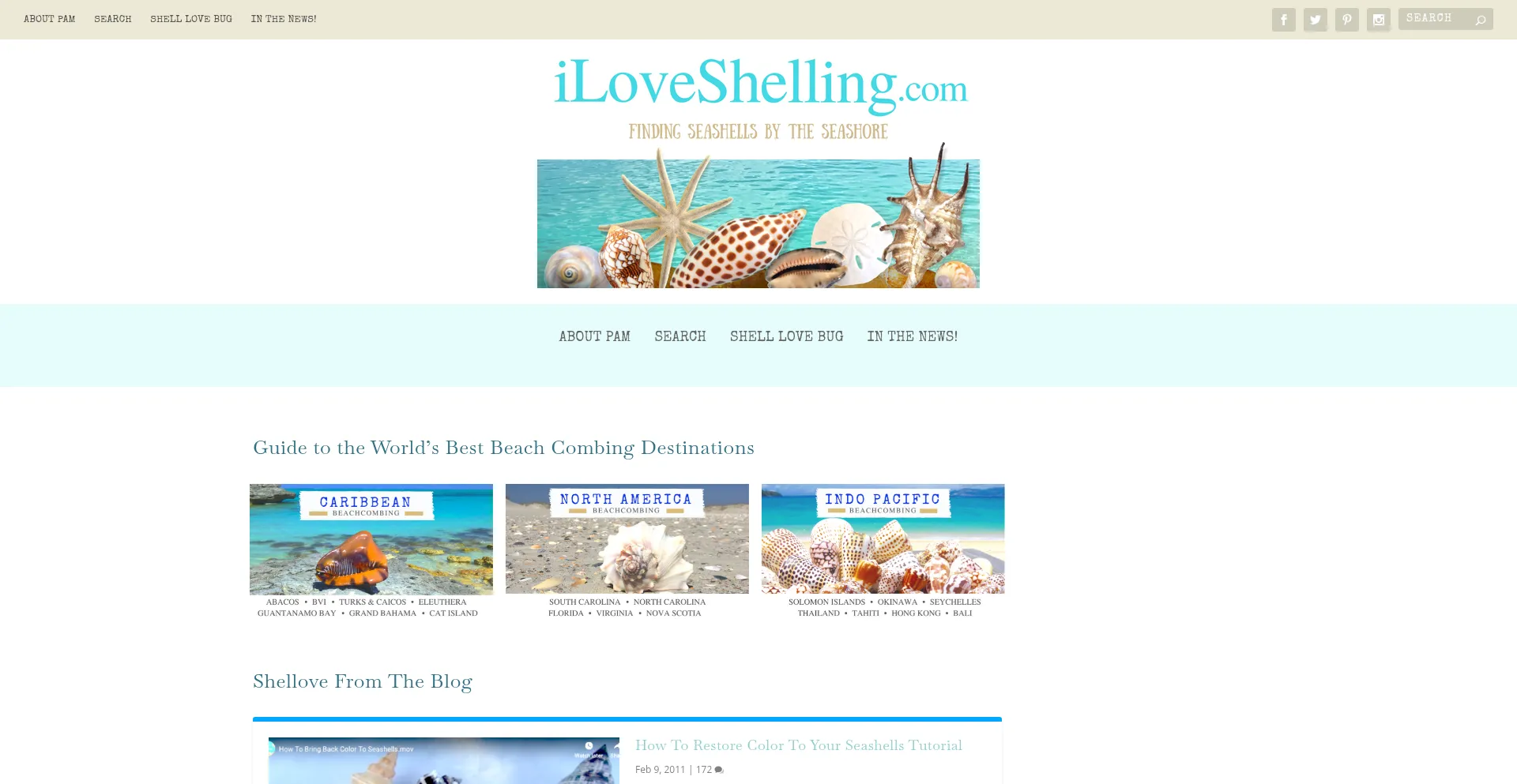Iloveshelling.com est-il Sûr et Fiable ?