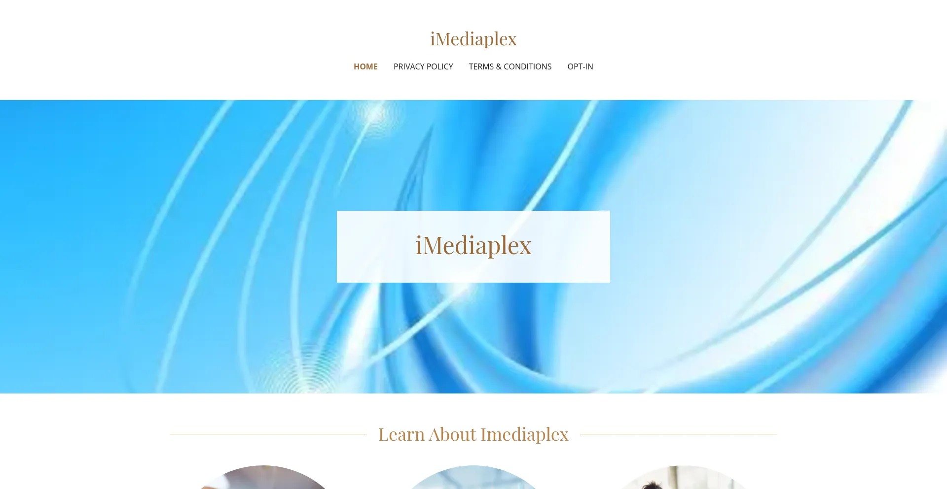 Website screenshot of Imediaplex.net