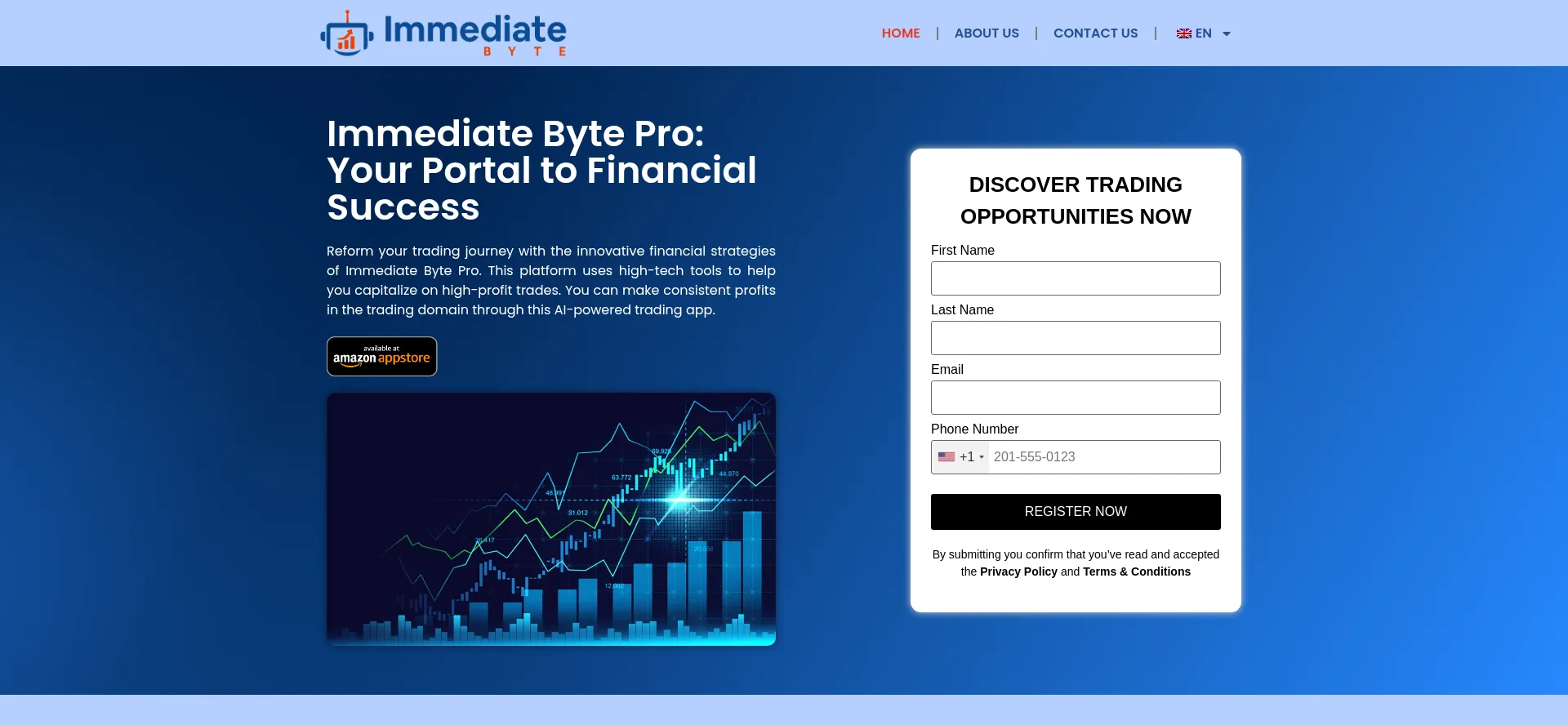 Website screenshot of Immediatebyte.pro
