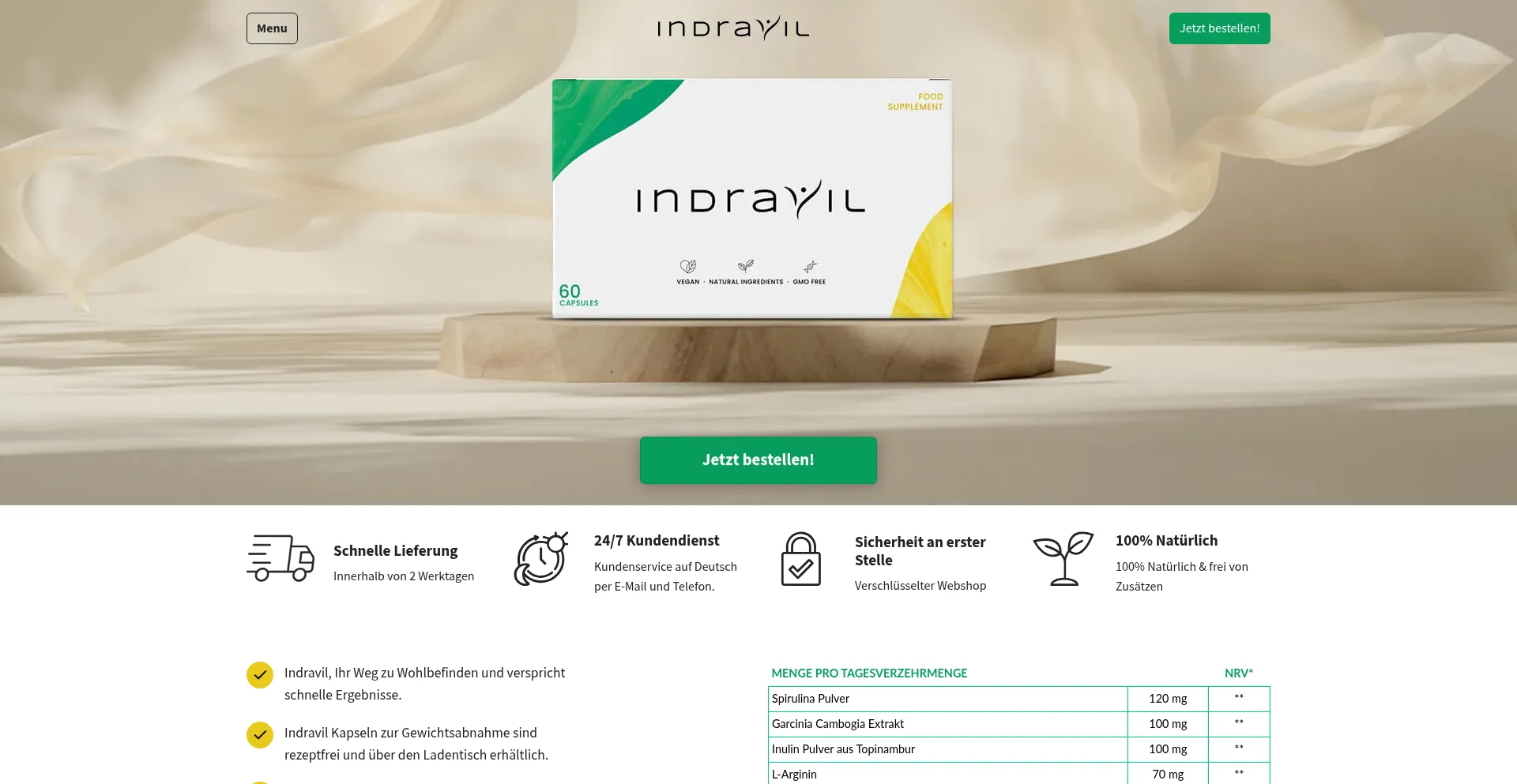 Website screenshot of Indravil.net
