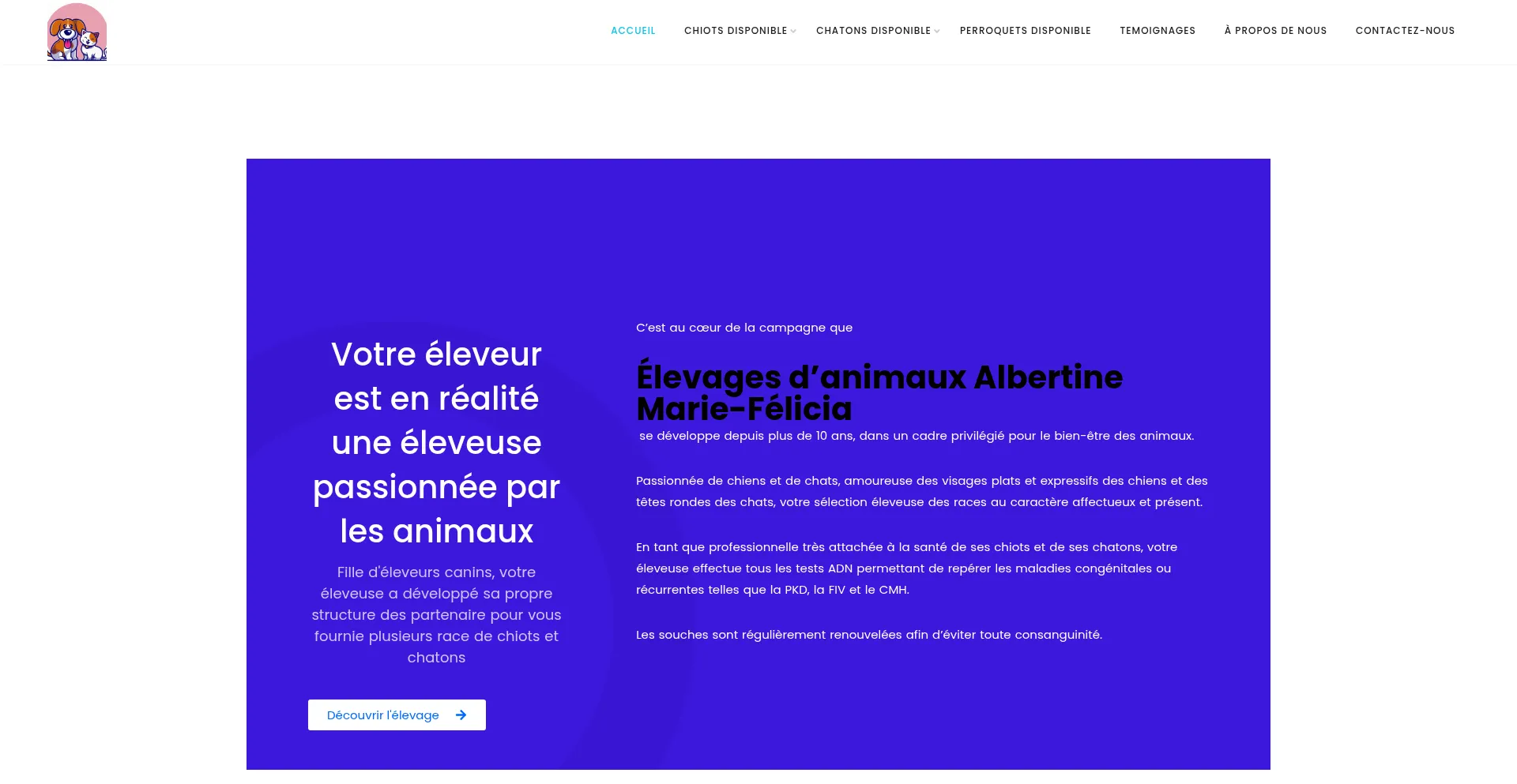 Infoschiotetchat.com