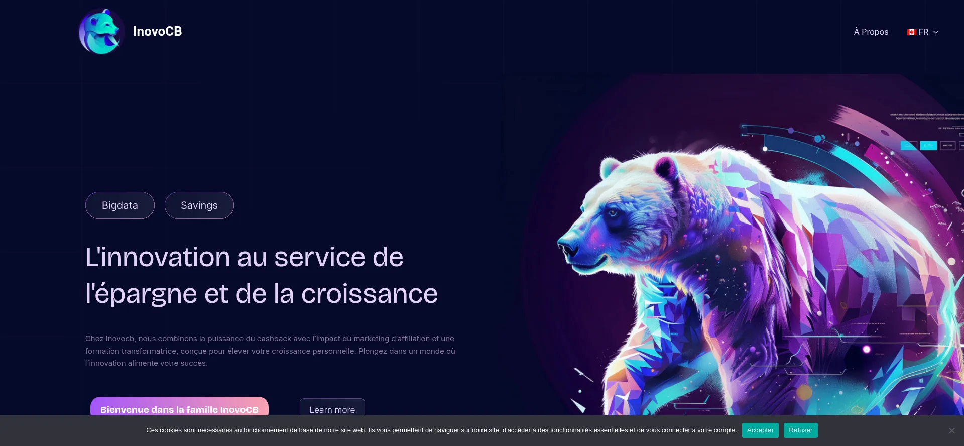Inovocb.com est-il Sûr et Fiable ?