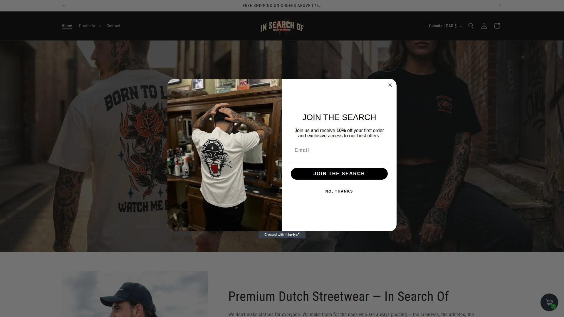 Insearchofclothing.com