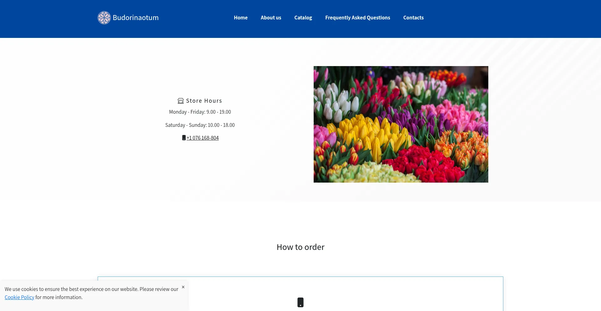 Website screenshot of Inslos.com