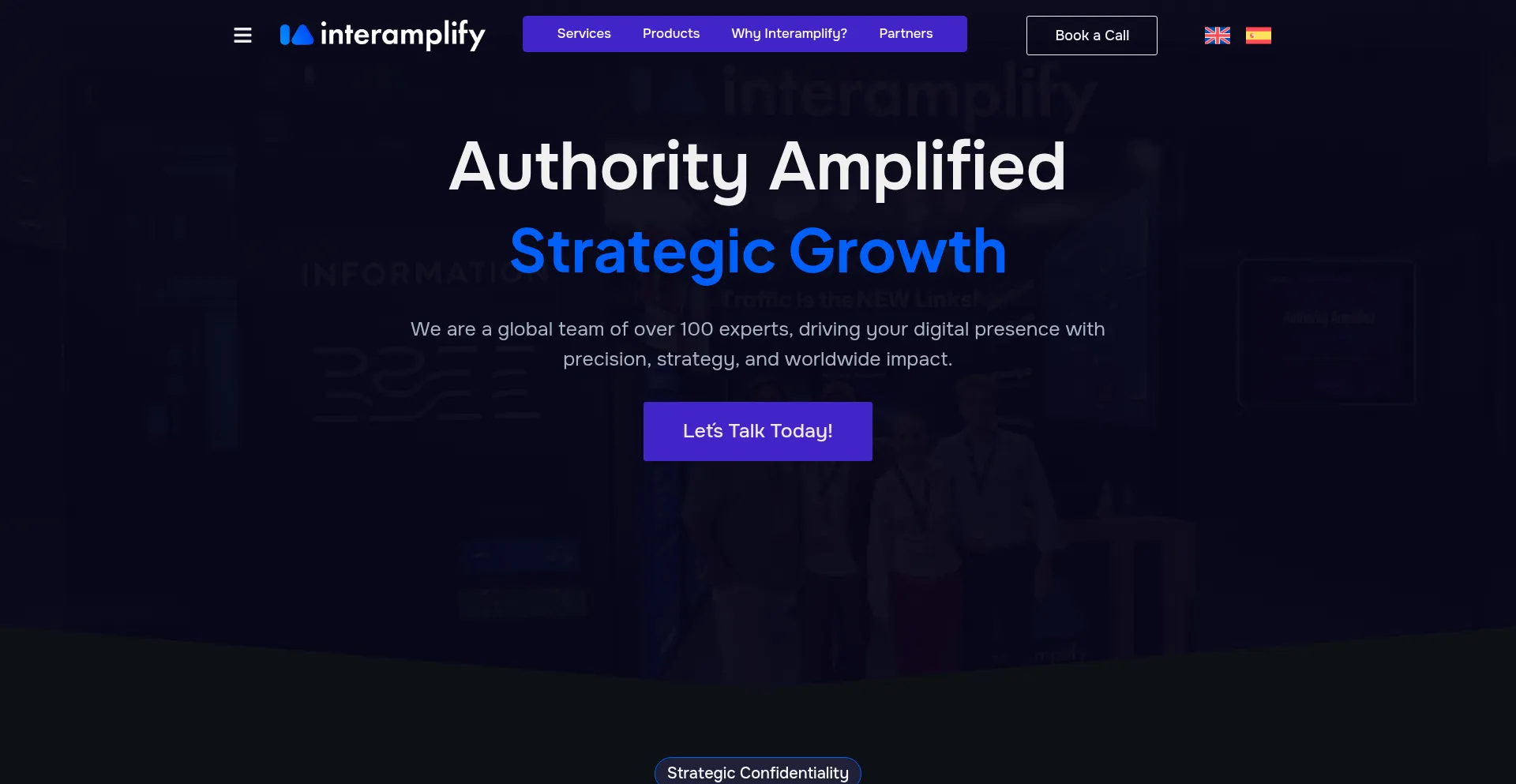 Website screenshot of Interamplify.com