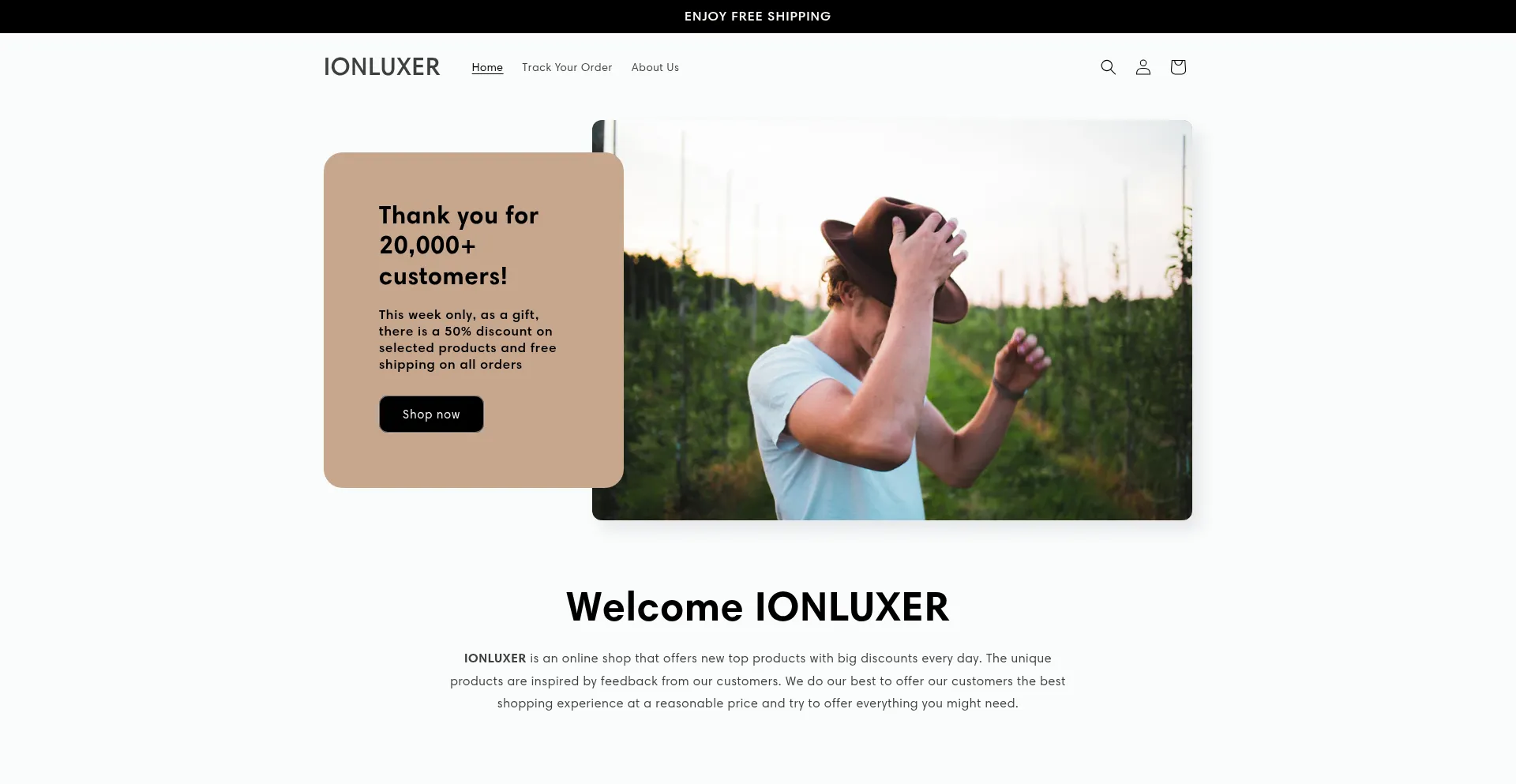Website screenshot of Ionluxer.com