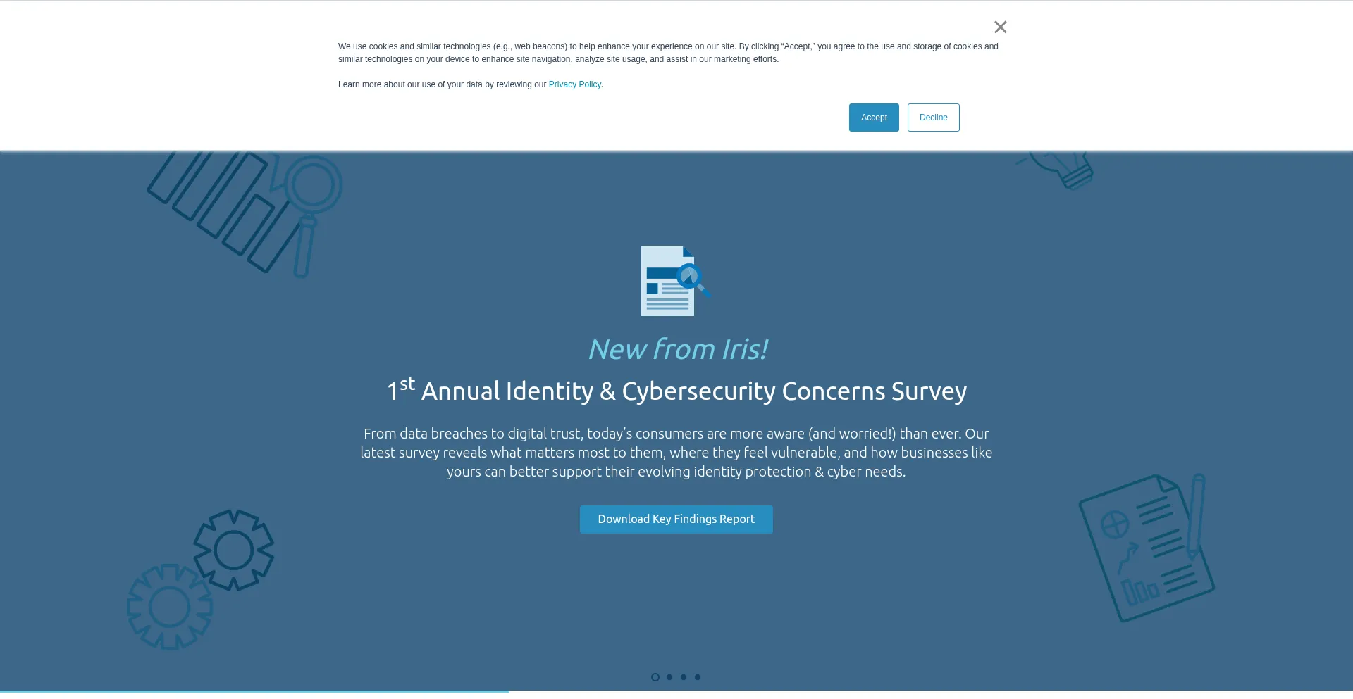 Website screenshot of Irisidentityprotection.com