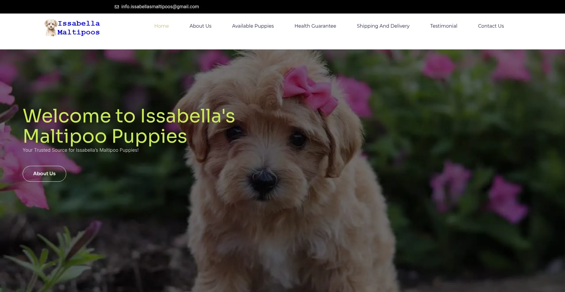 Issabellasmaltipoos.com