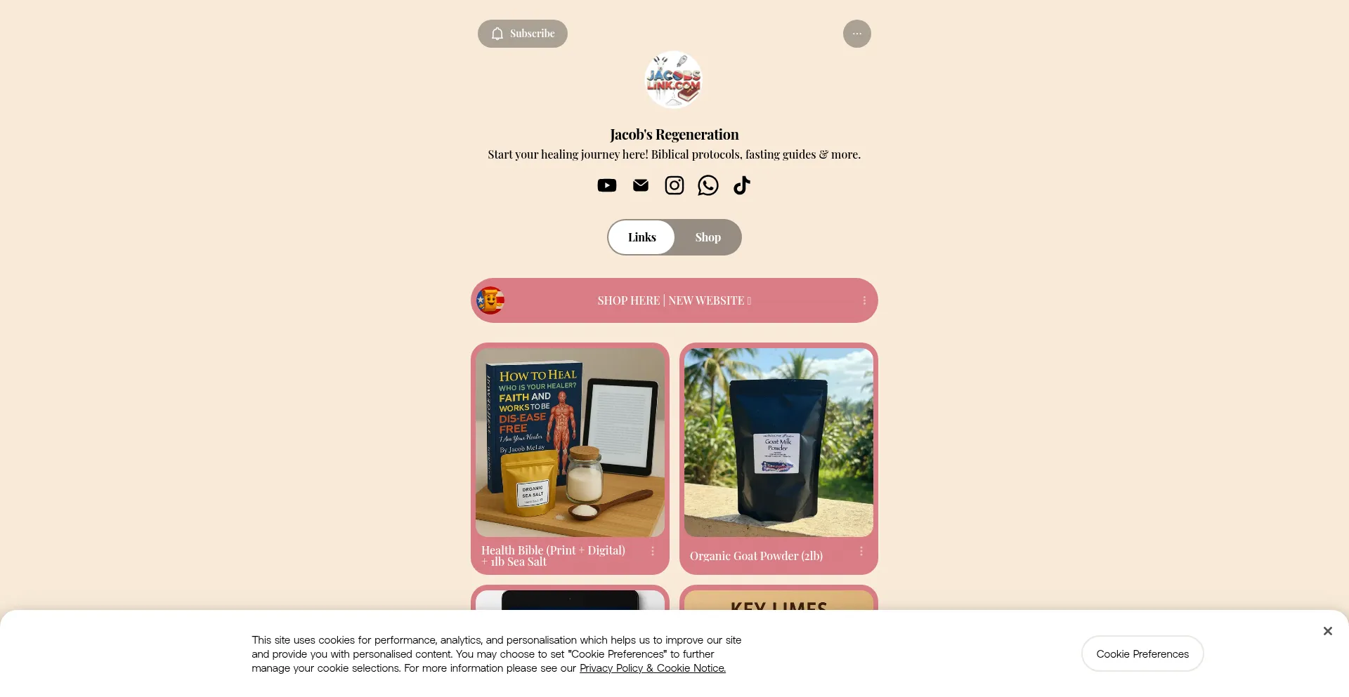 Website screenshot of Jacobslink.com