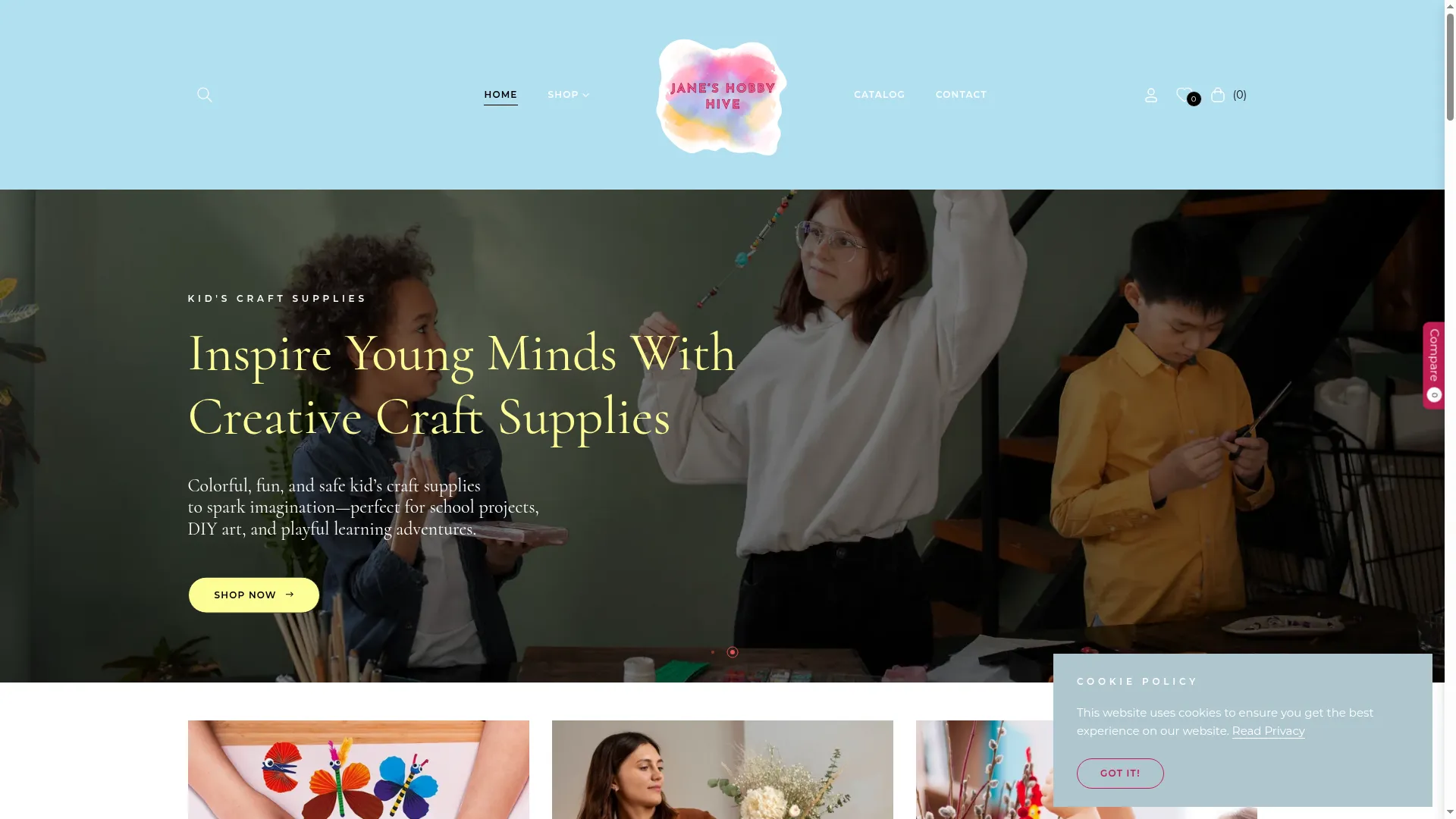 Janeshobbyhive.com