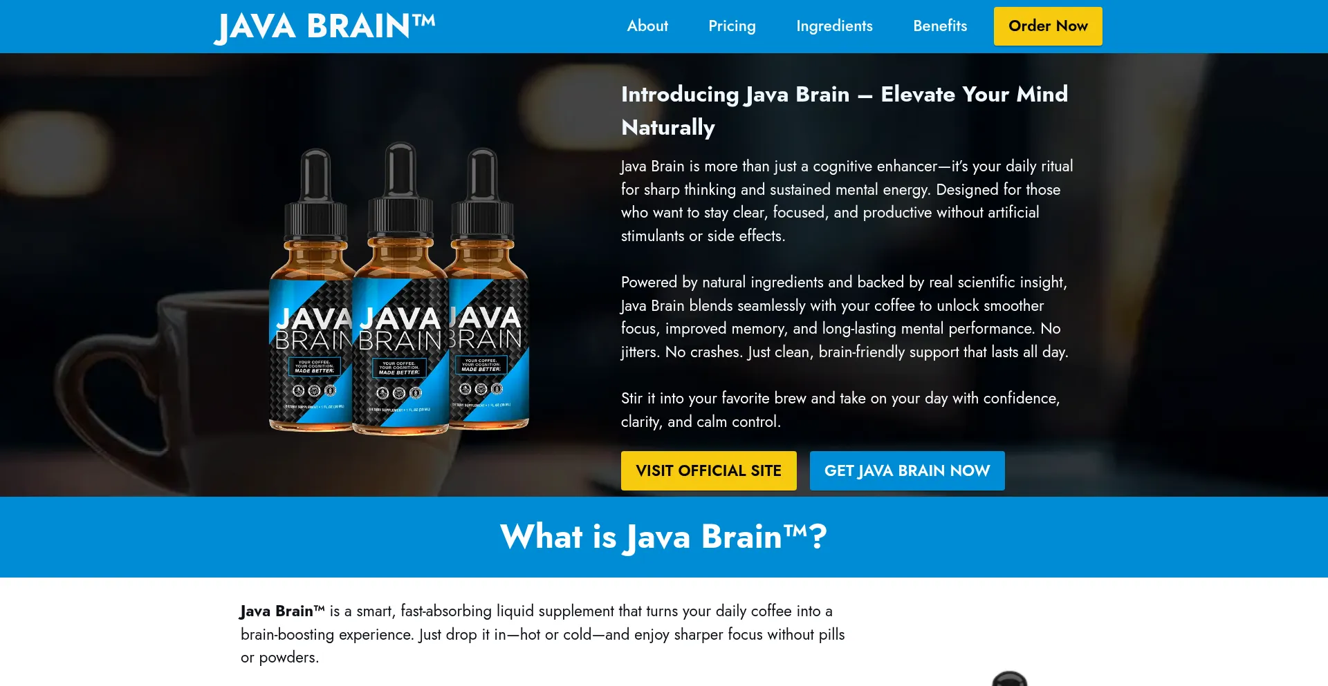 Java-javabrain.com est-il Sûr et Fiable ?