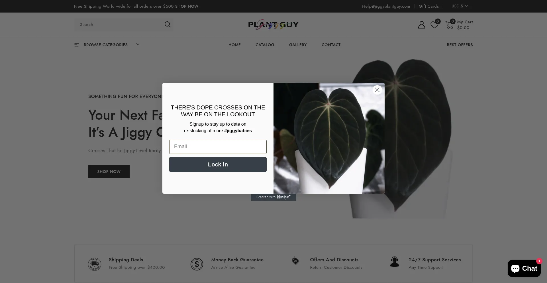 Jiggyplantguy.com est-il Sûr et Fiable ?