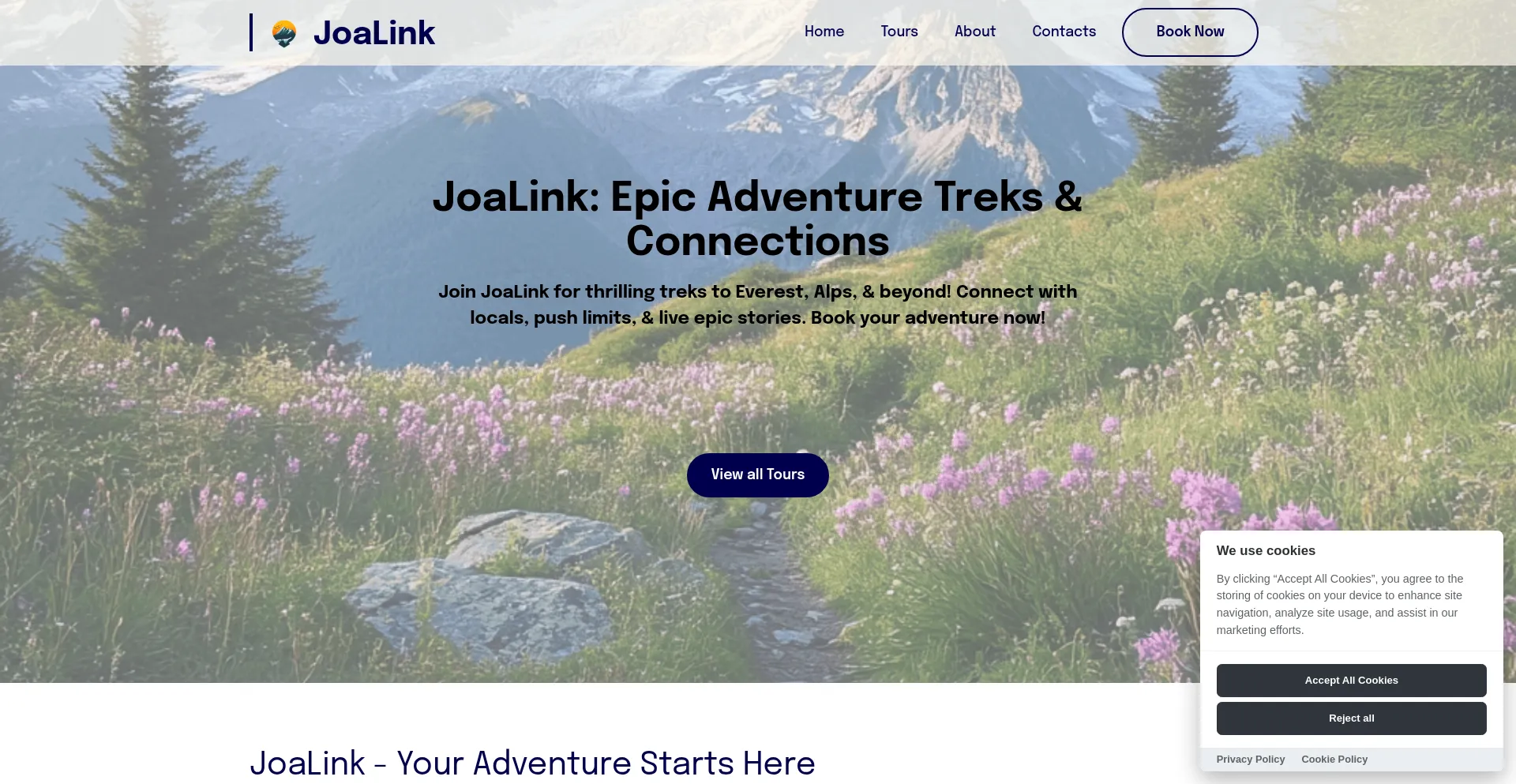 Website screenshot of Joalink.com