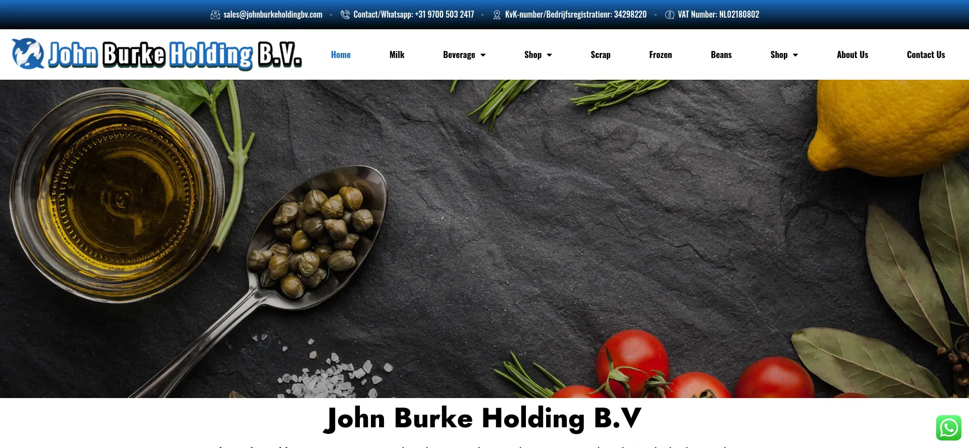 Website screenshot of Johnburkeholdingbv.com
