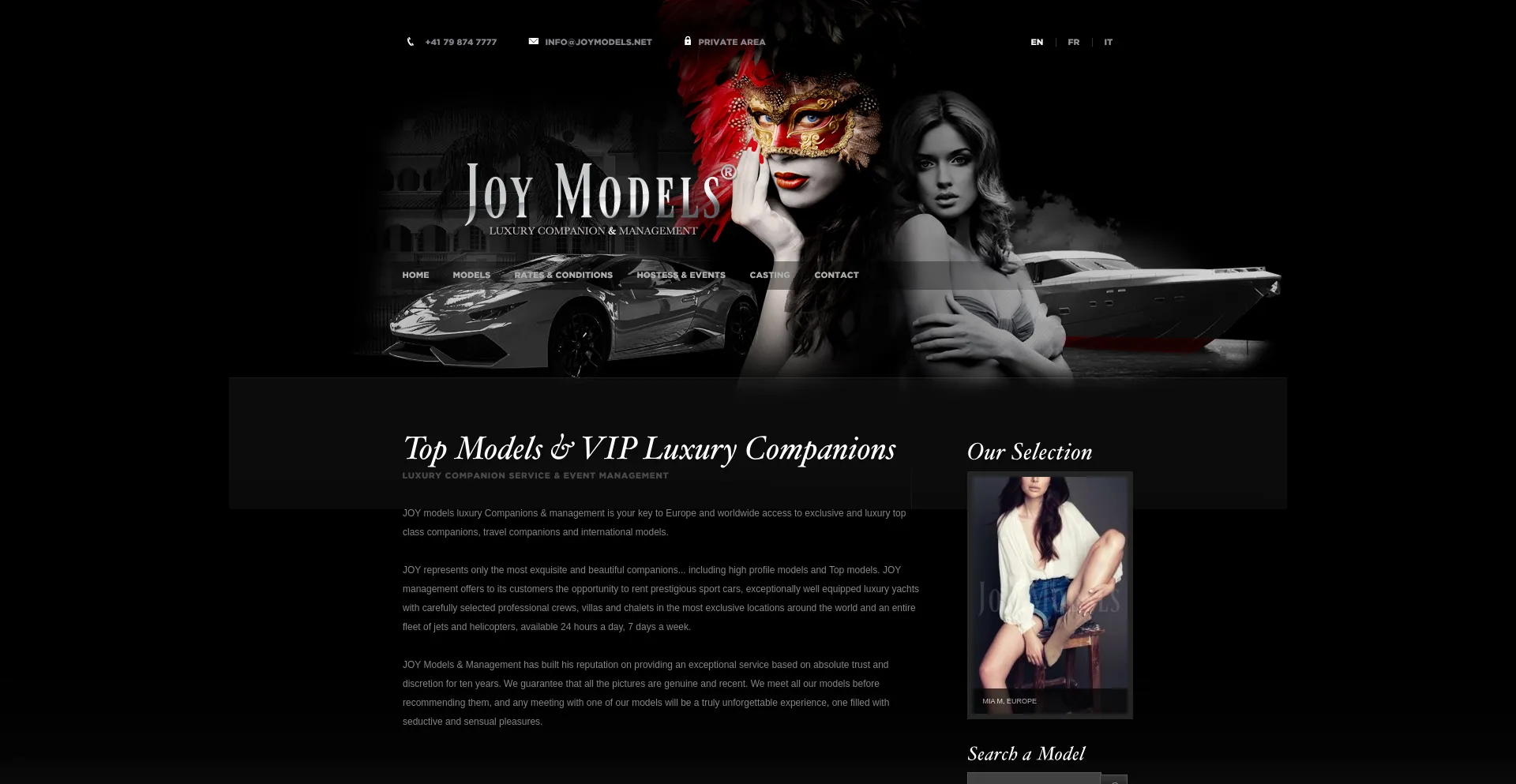 Website screenshot of Joymodels.net