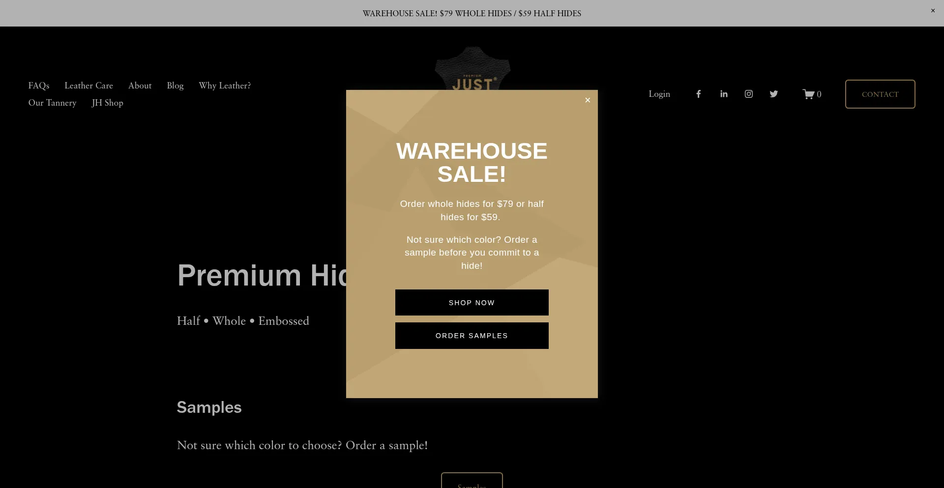 Website screenshot of Justhides.com