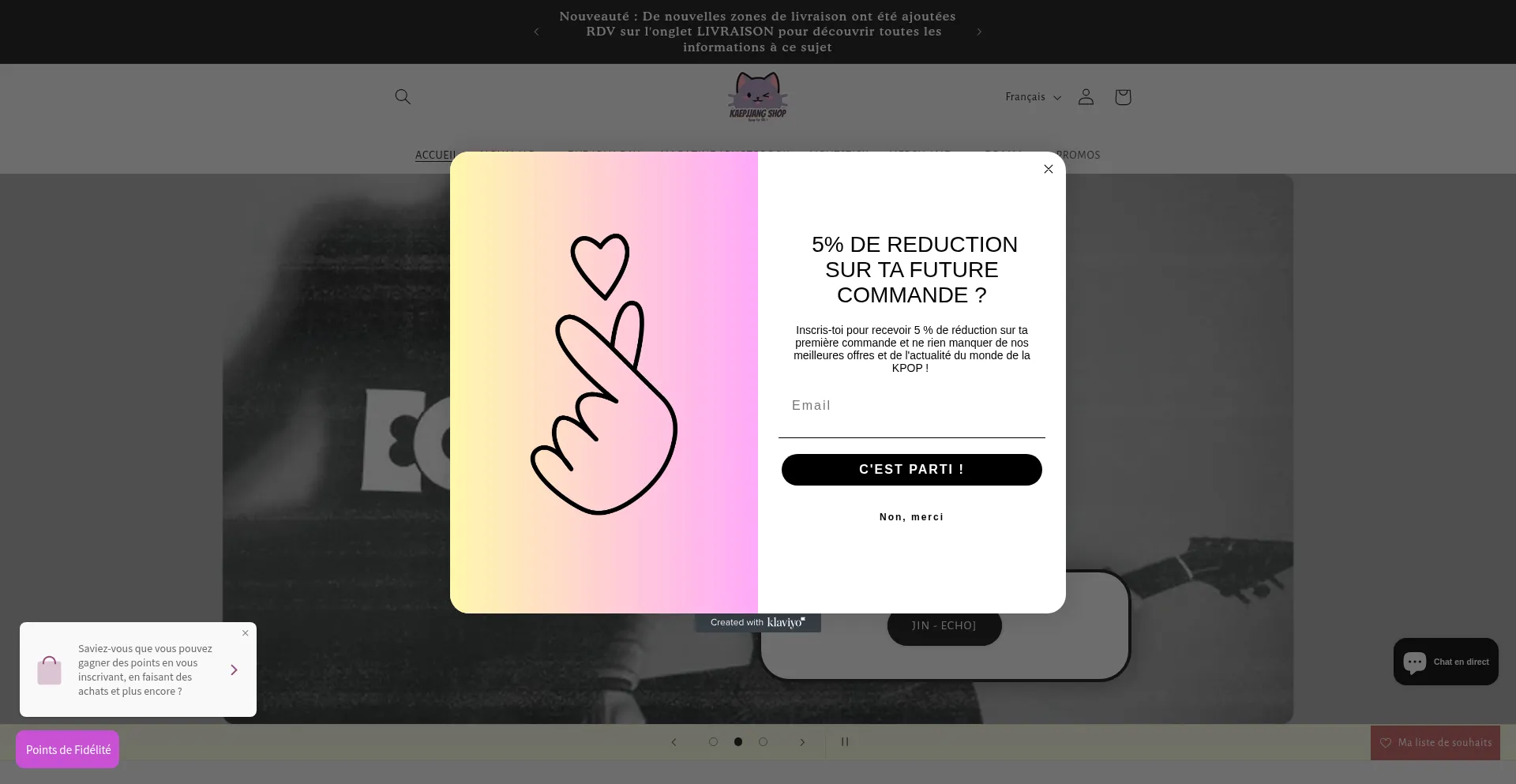 Website screenshot of Kaepjjang-shop.fr