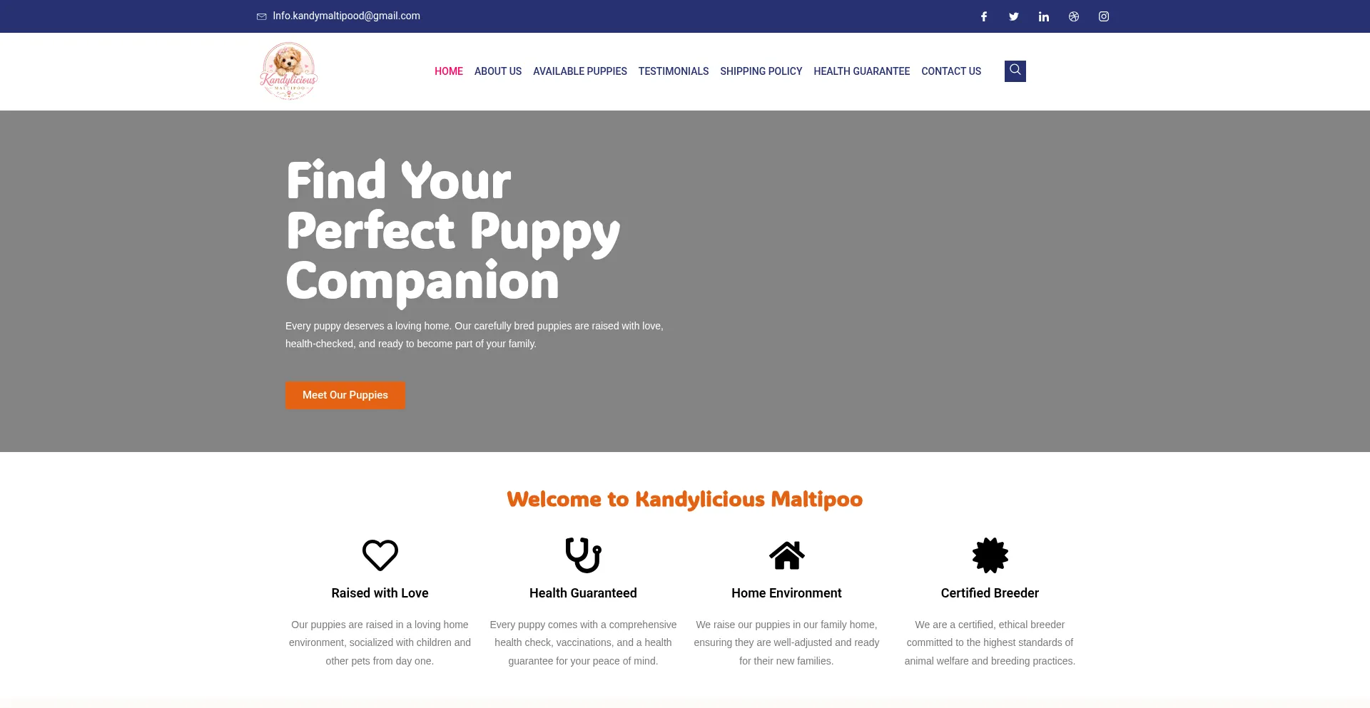 Kandyliciousmaltipoo.com