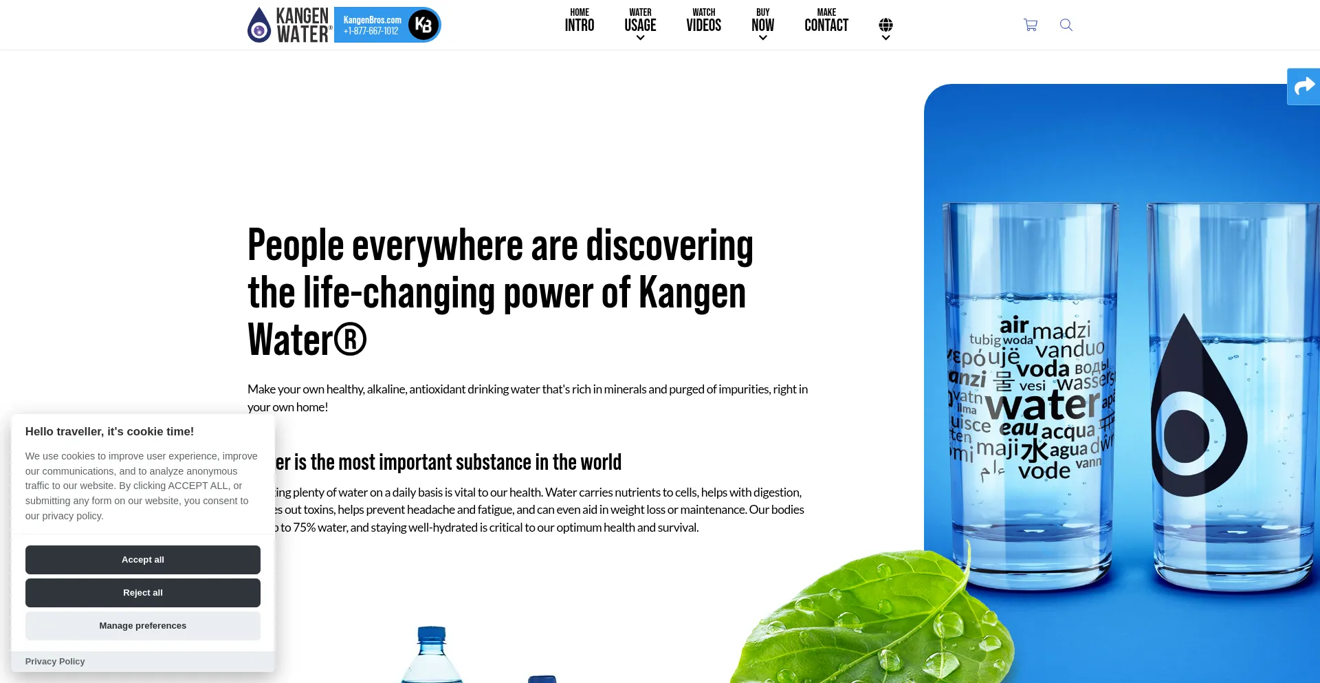 Website screenshot of Kangenbros.com