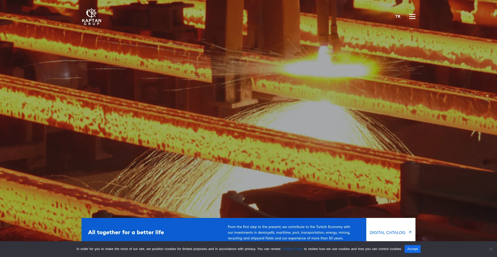 Website screenshot of Kaptangrupturkiye.com