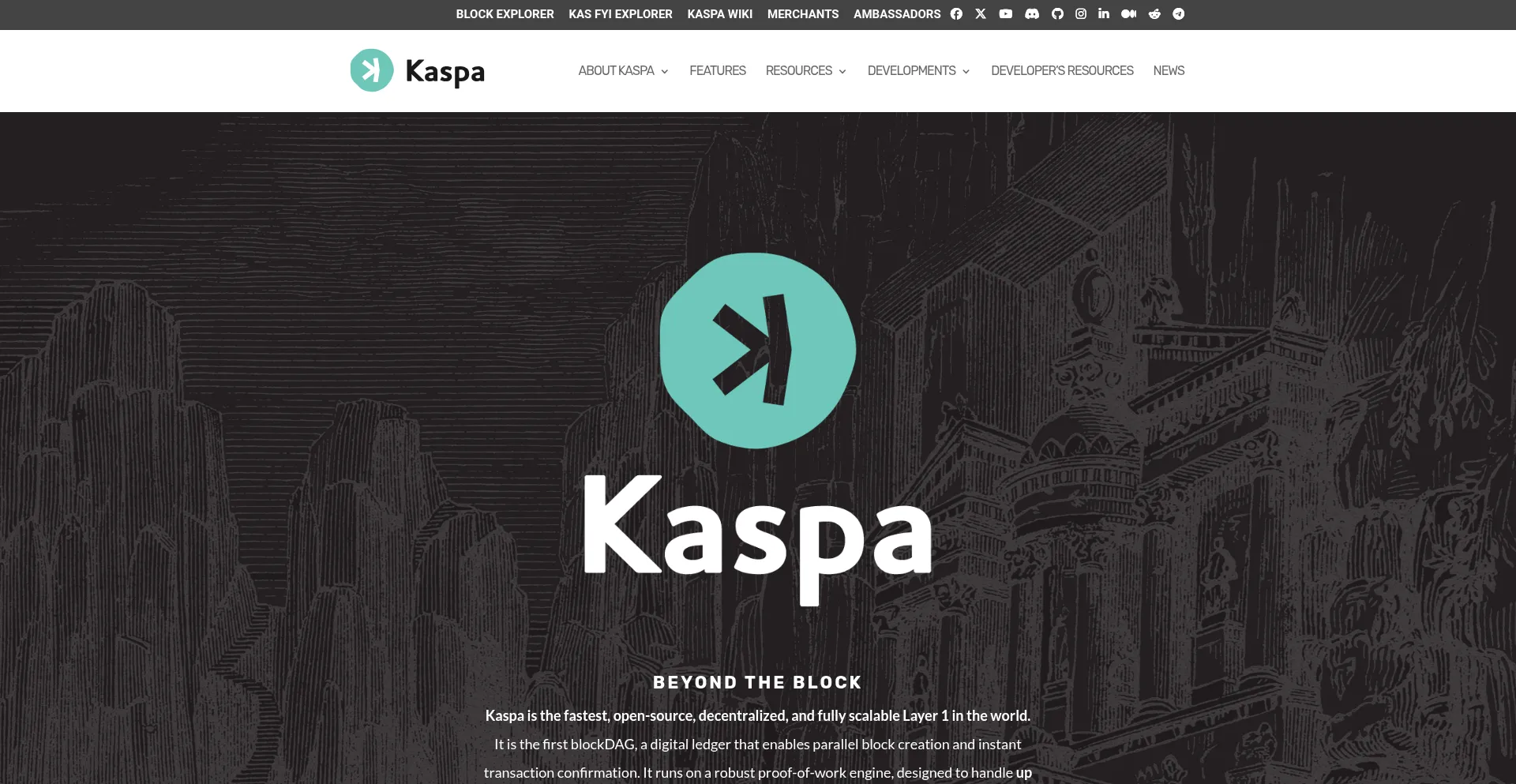 Website screenshot of Kaspa.org