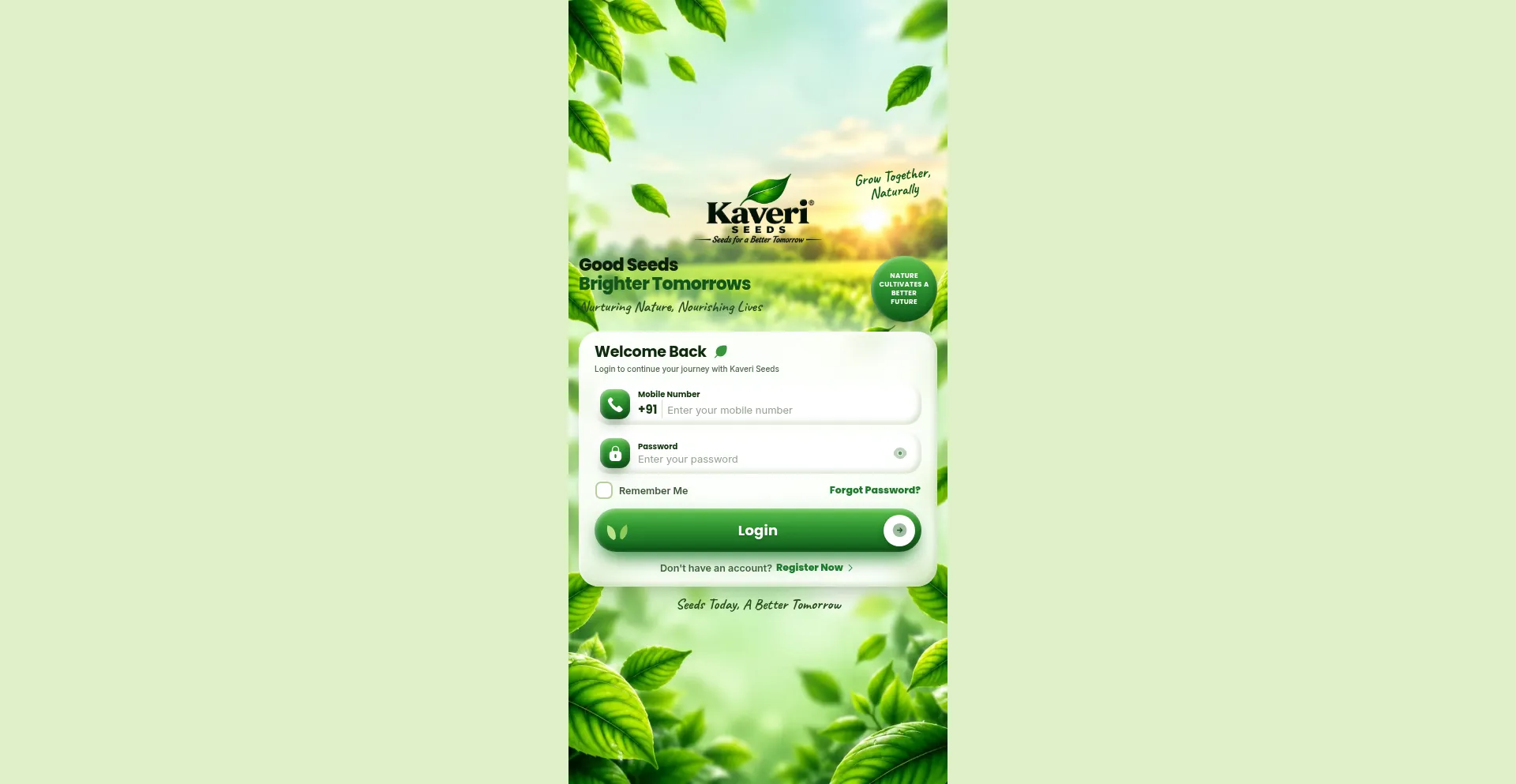 Kaveseedsmarket.com