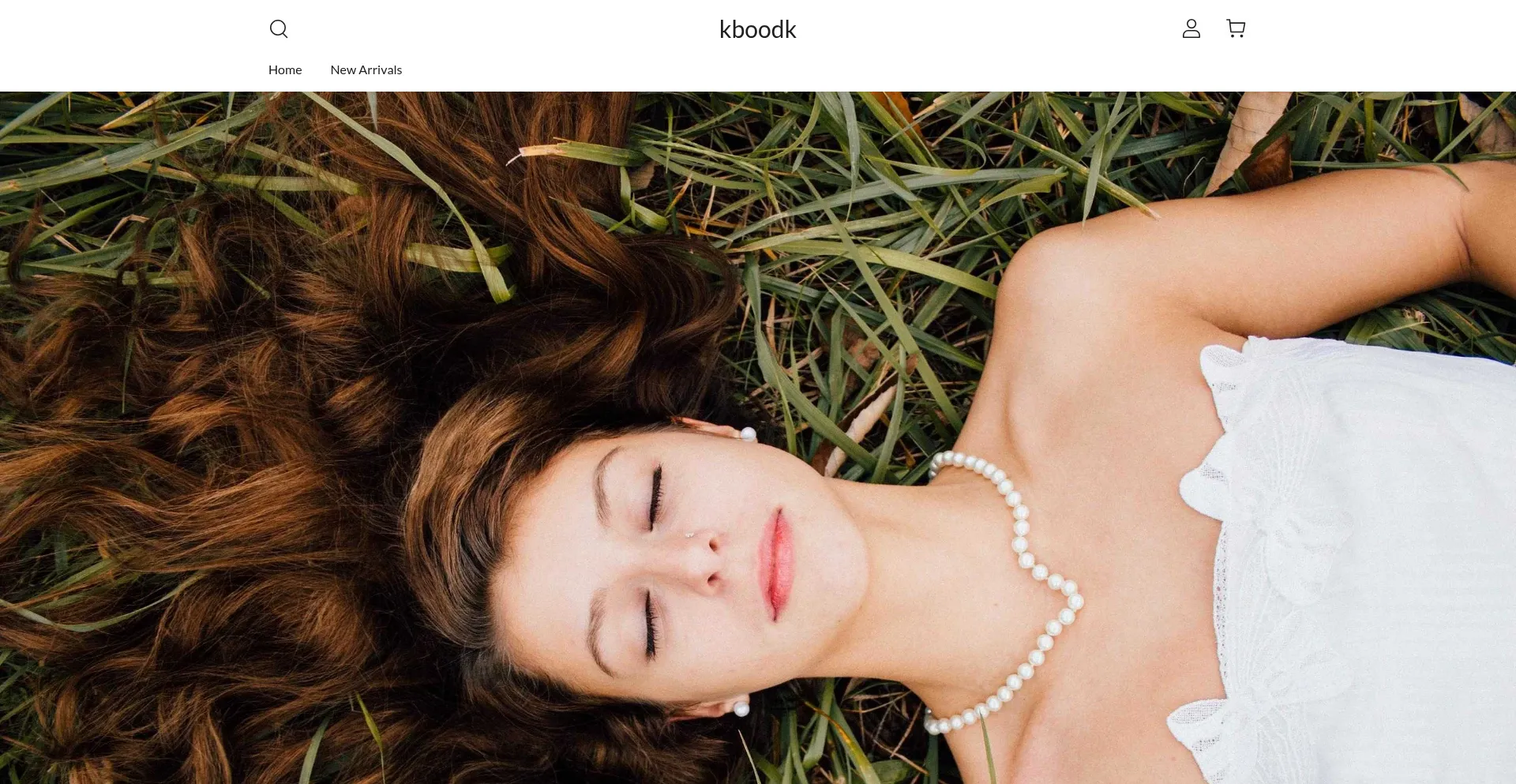 Website screenshot of Kboodk.com
