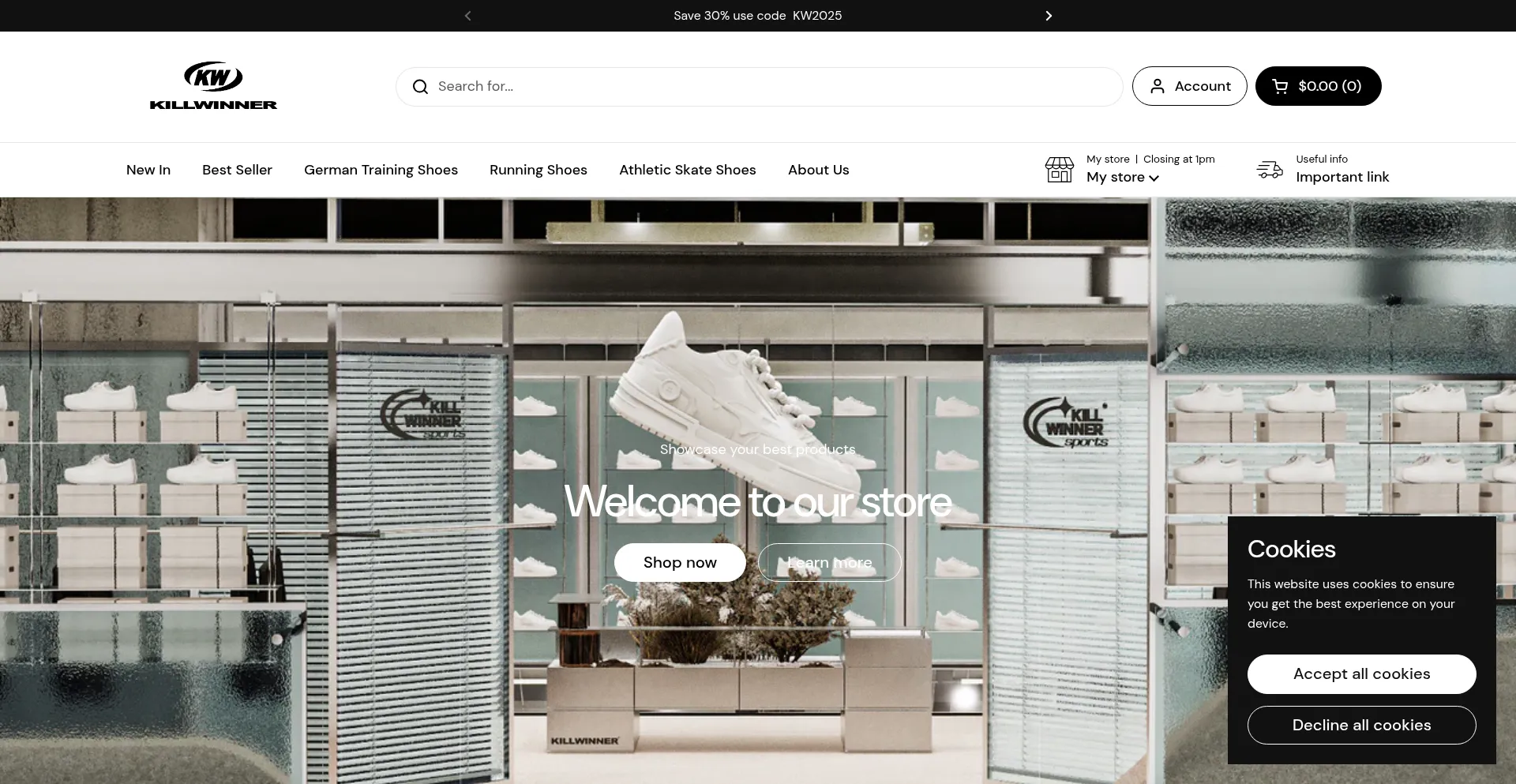 Website screenshot of Killwinner.com