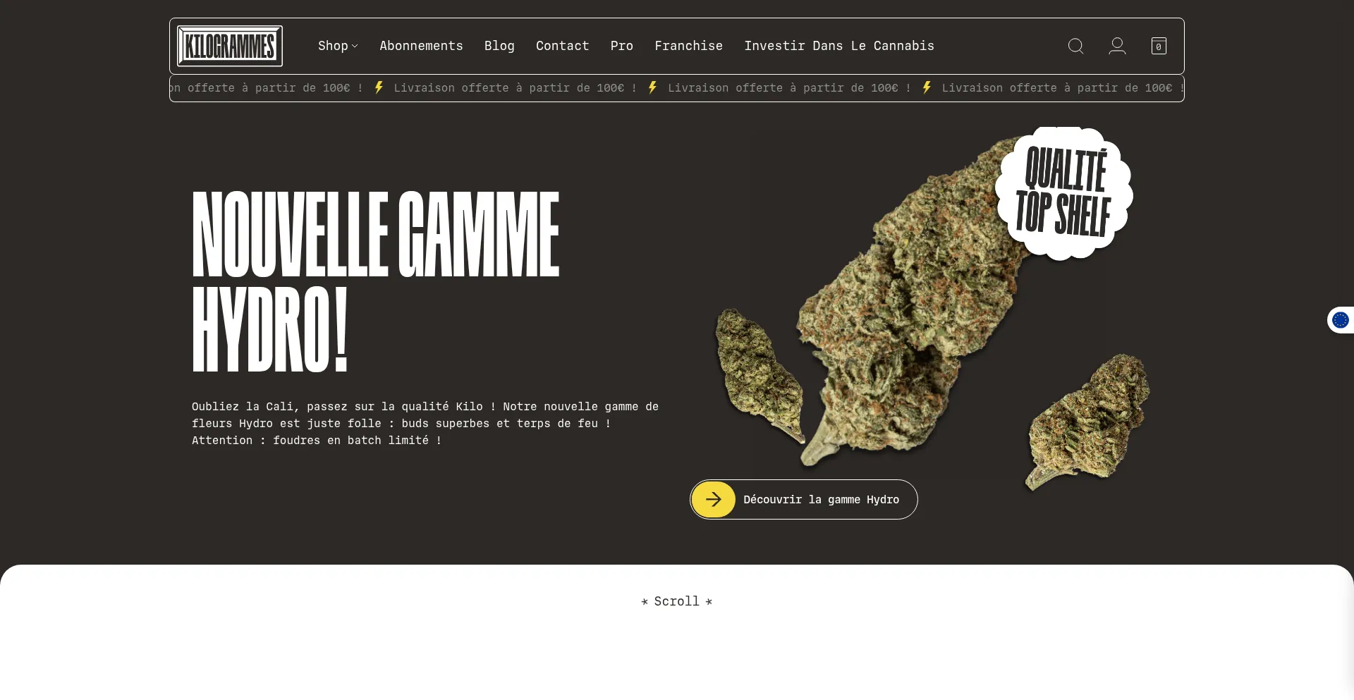 Website screenshot of Kilogrammes.com