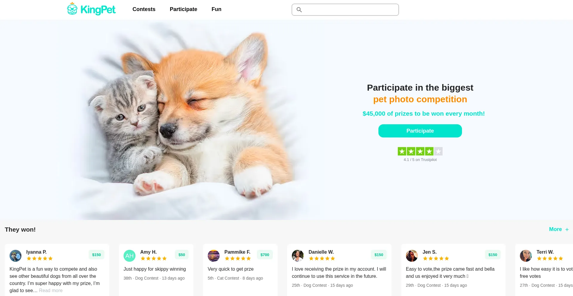 Website screenshot of Kingpet.com