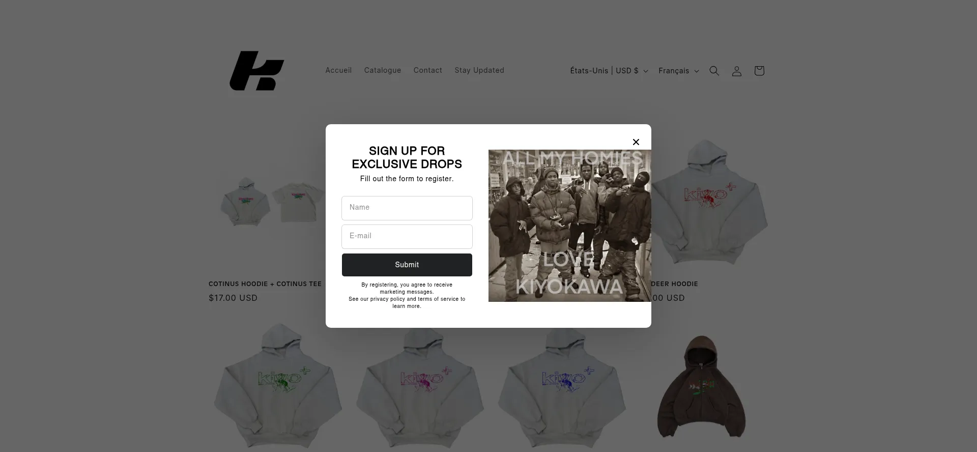 Website screenshot of Kiyokawa3041.com