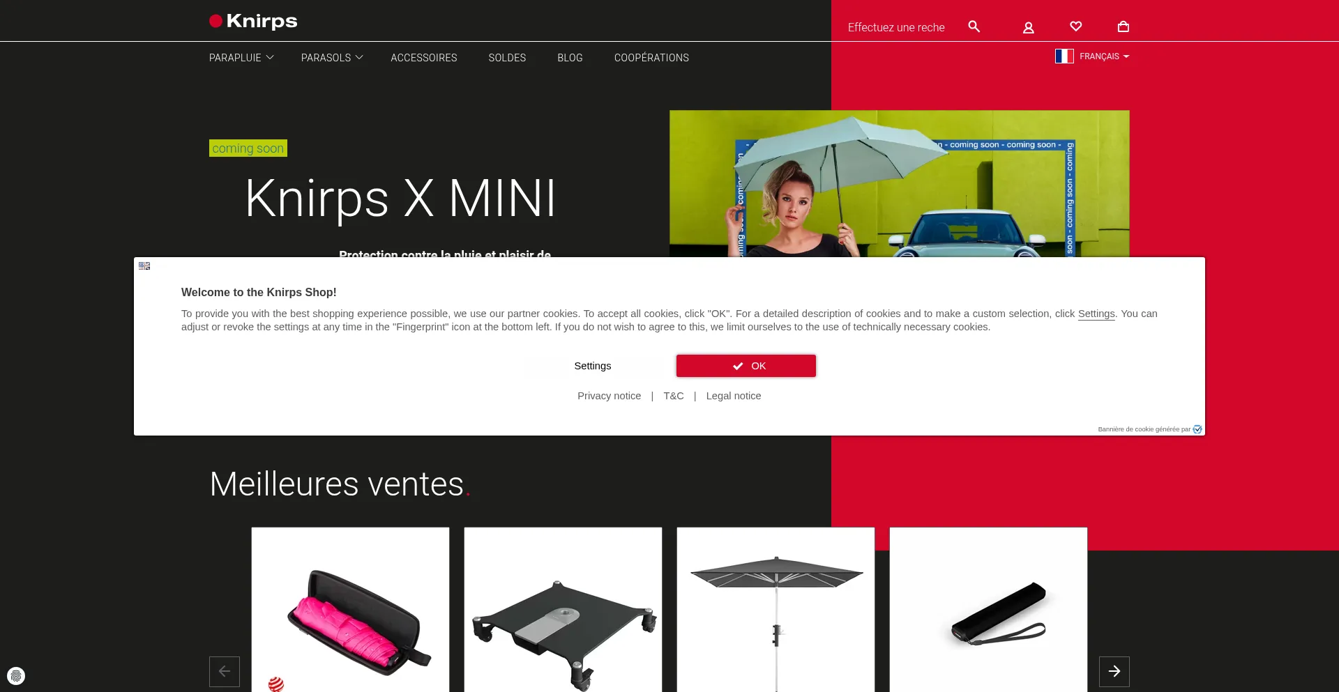 Knirps.fr est-il Sûr et Fiable ?
