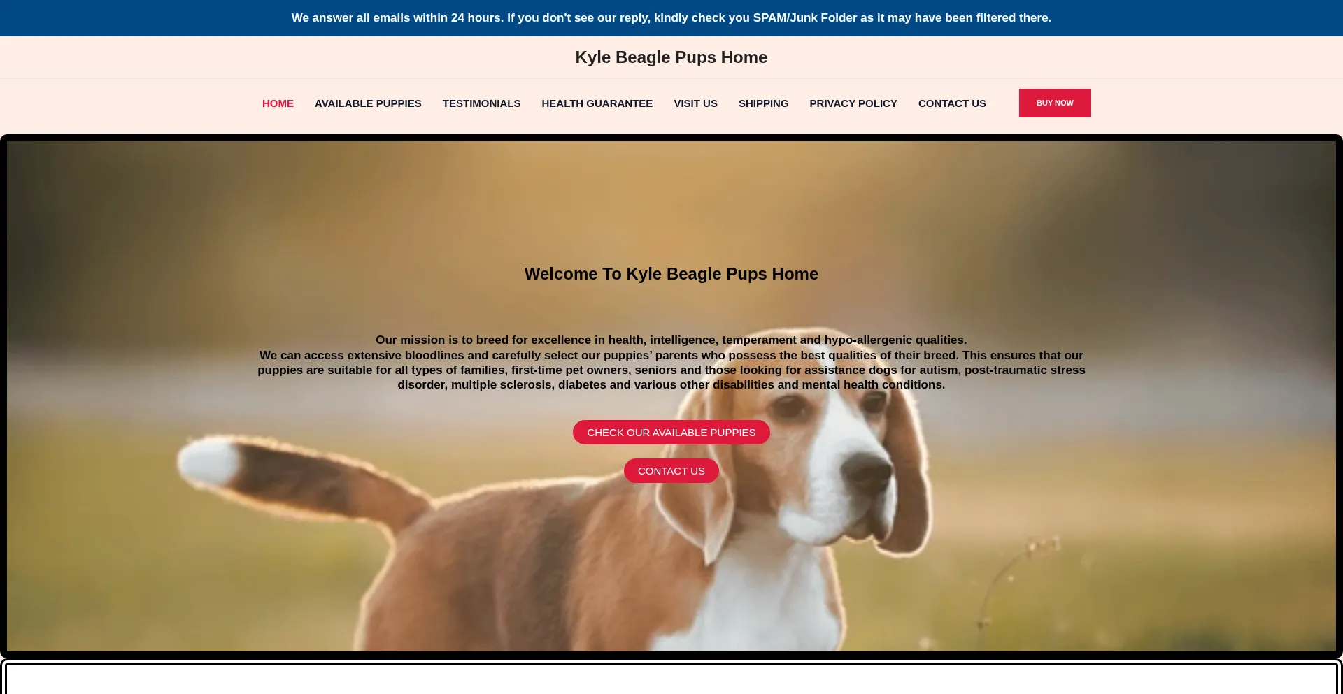 Kylebeaglepupshome.com