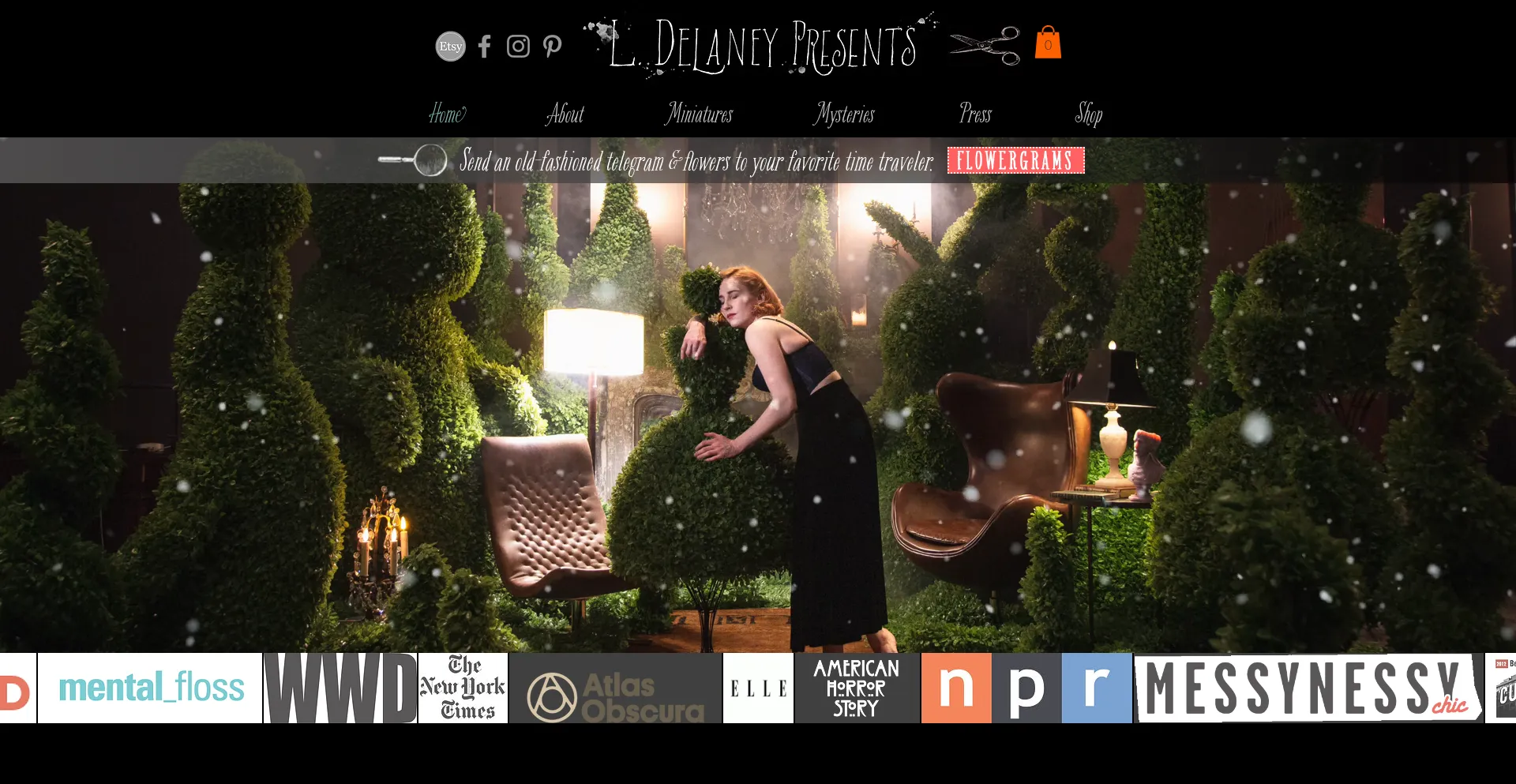 Website screenshot of Ladydelaney.com