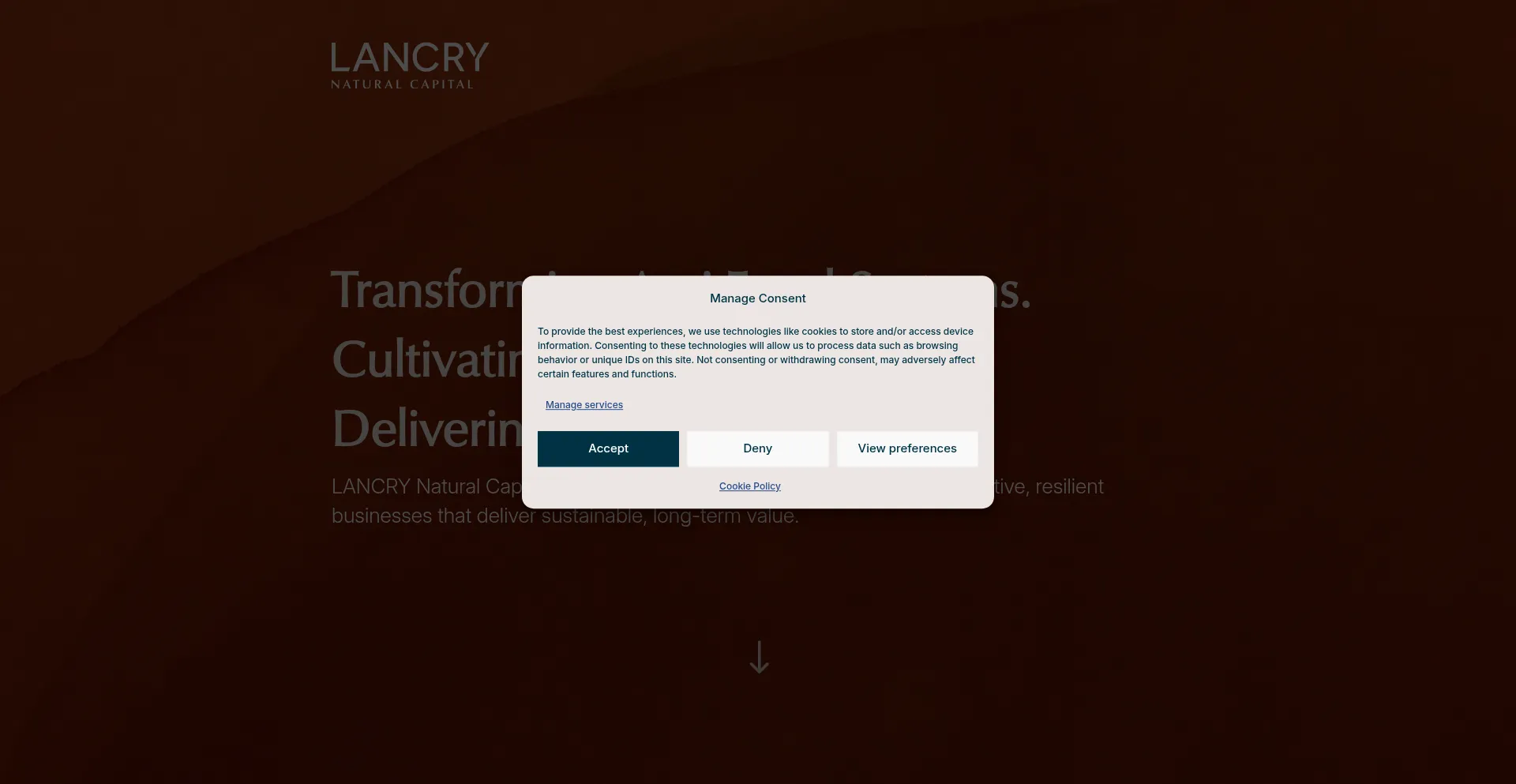 Lancry-nc.com