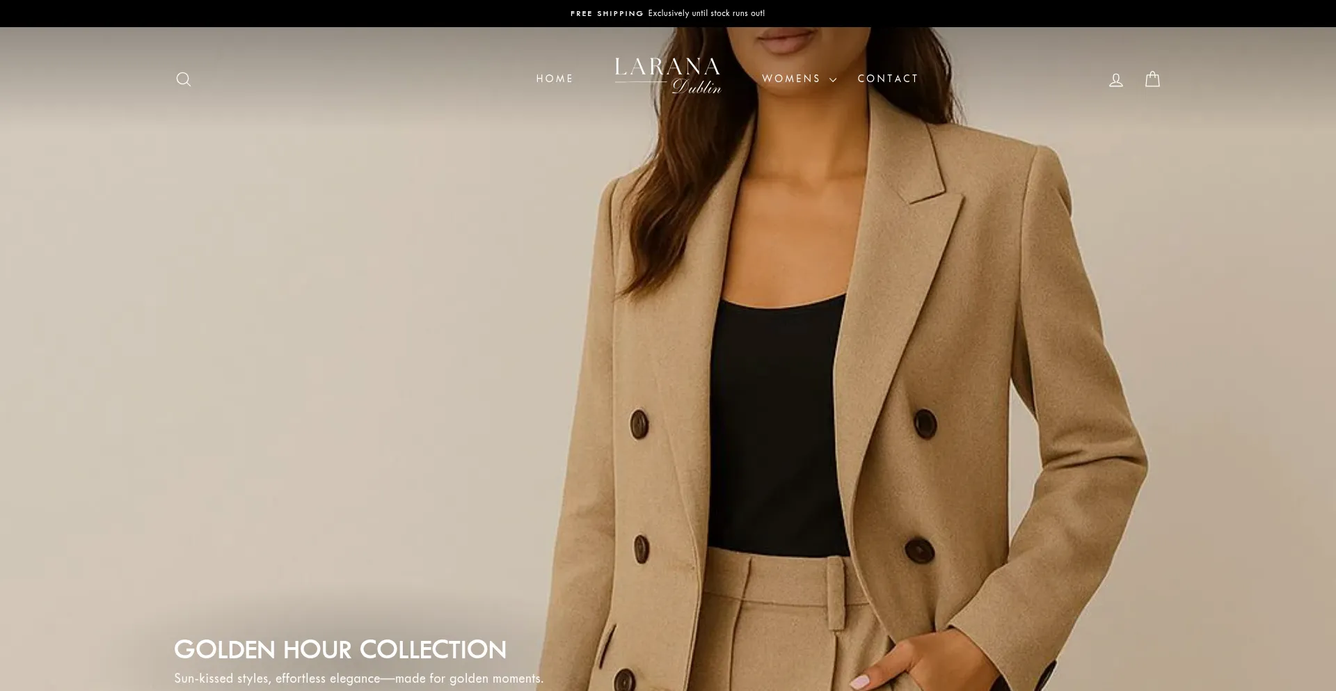 Website screenshot of Larana-dublin.com