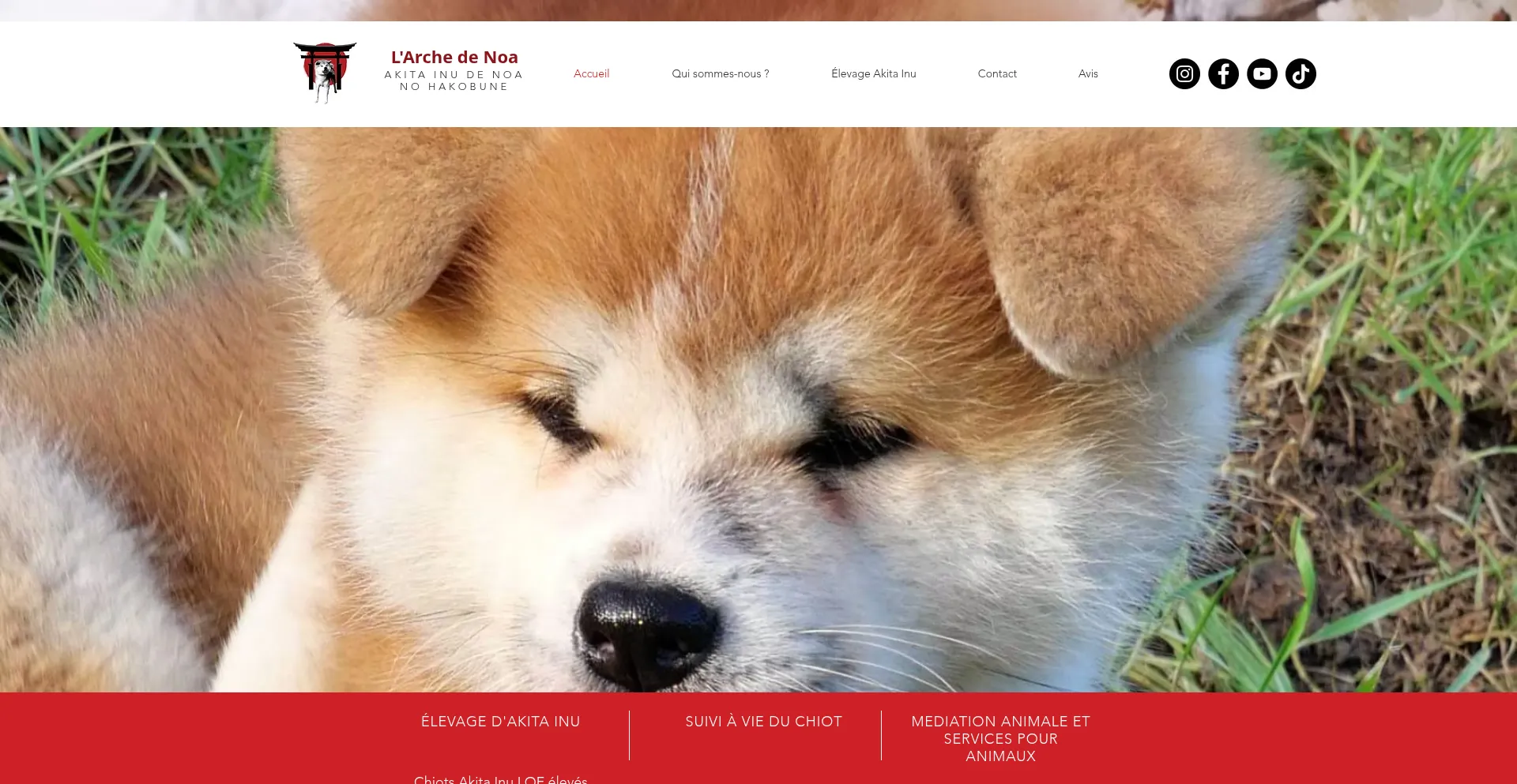 Website screenshot of Larchedenoa.com