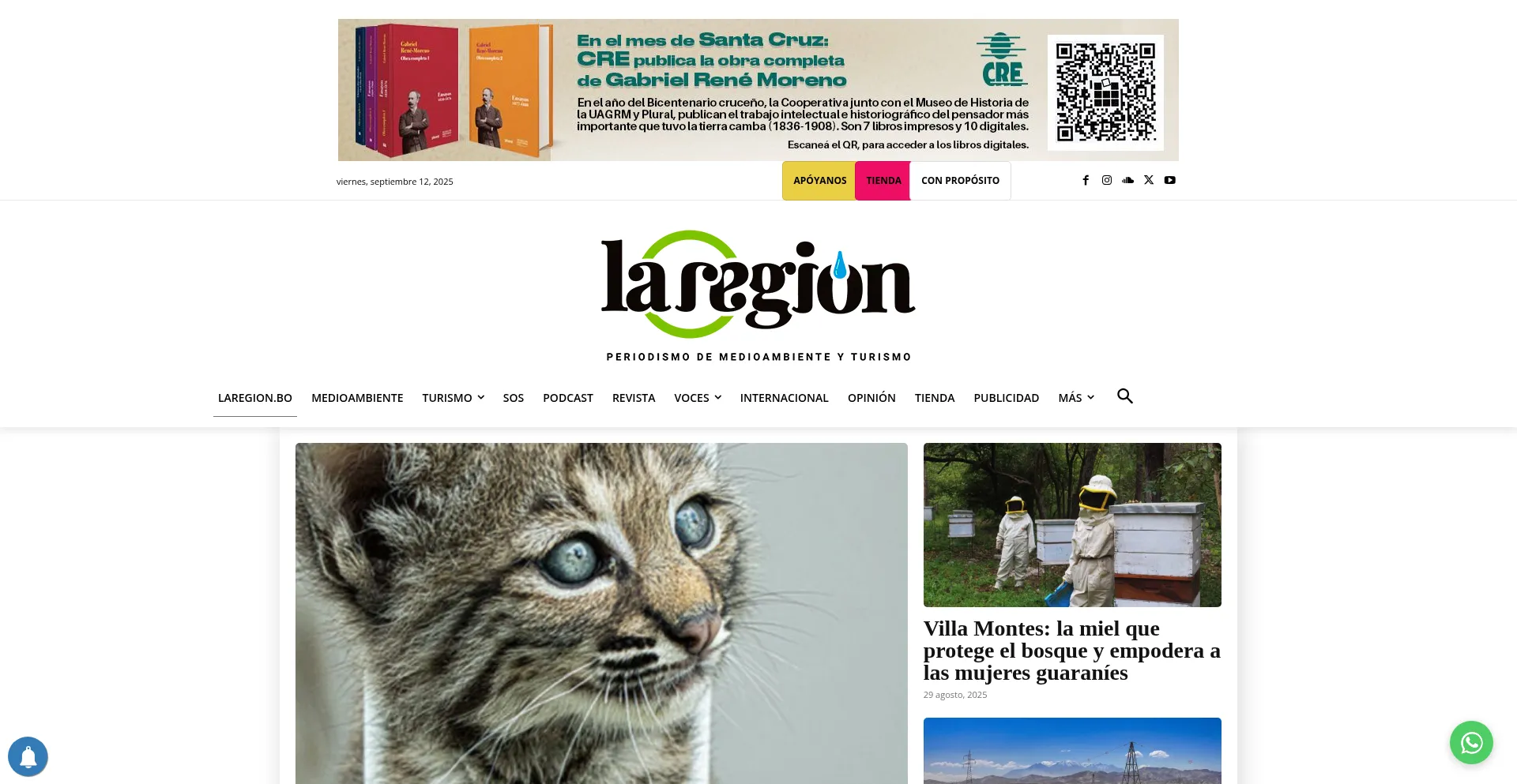 Laregion.bo est-il Sûr et Fiable ?