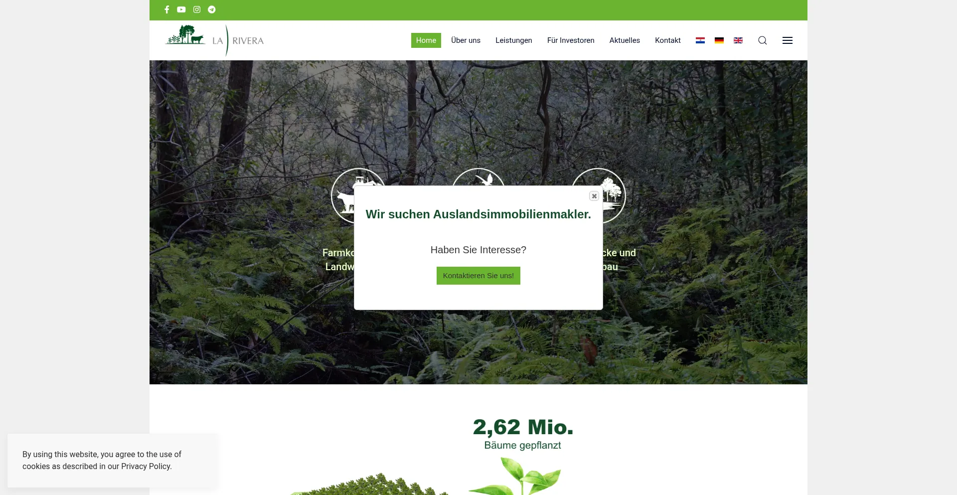 Larivera-py.com Screenshot