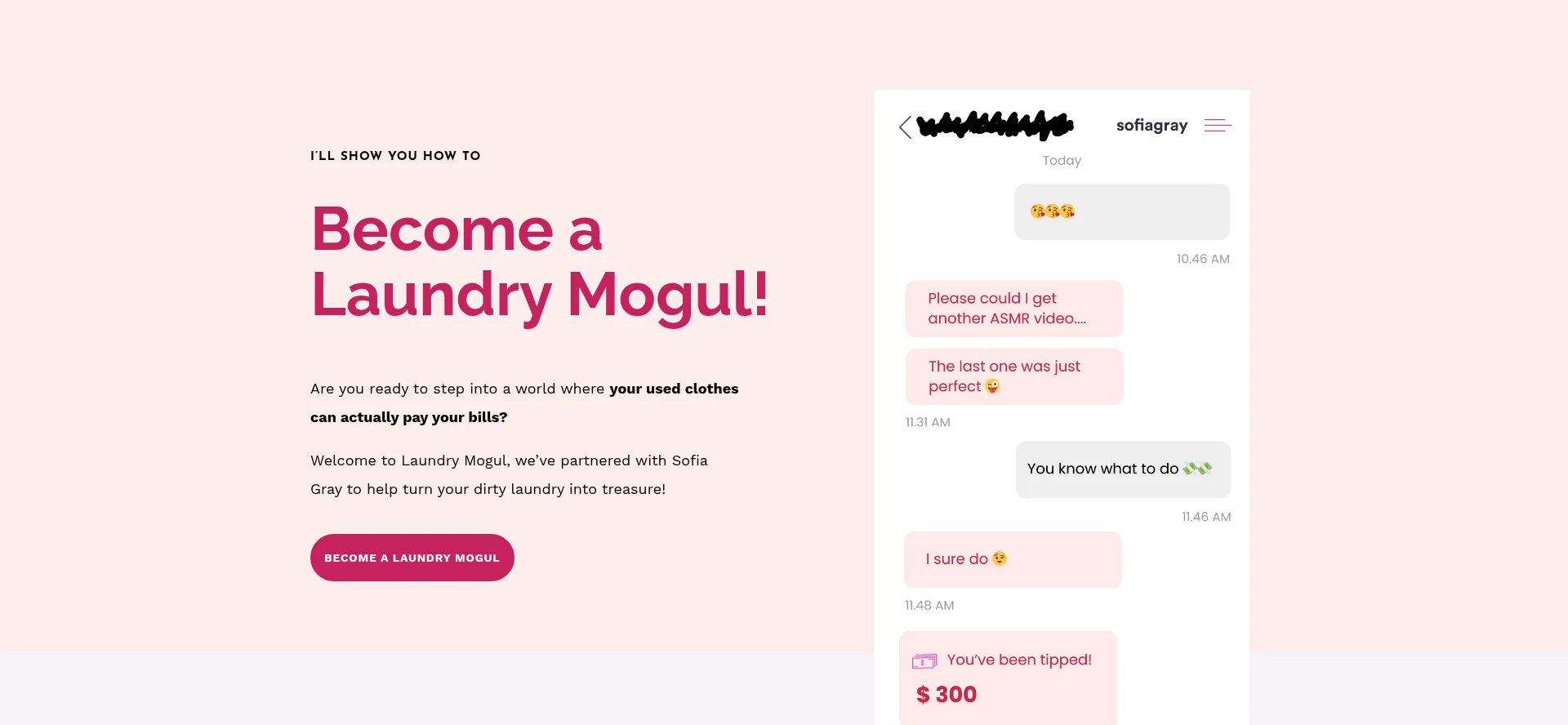 Laundrymogul.com
