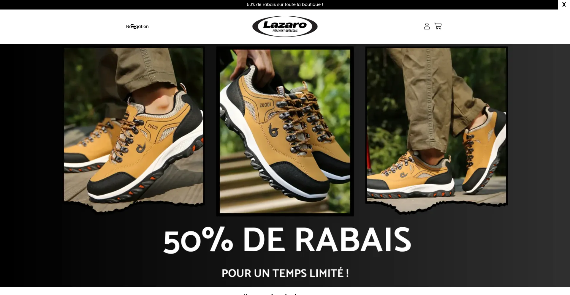 Website screenshot of Lazaro-quebec.com