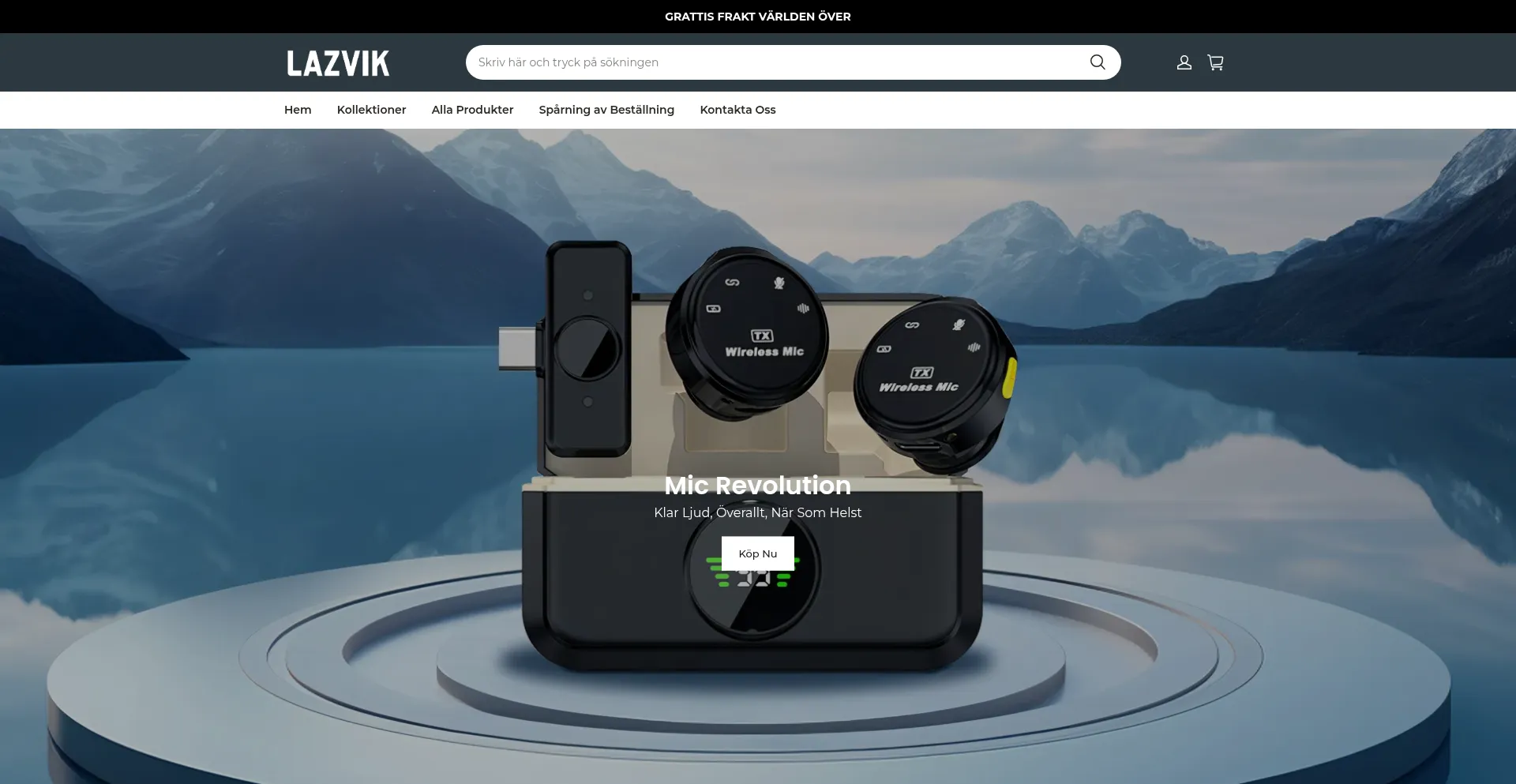 Website screenshot of Lazvik.net