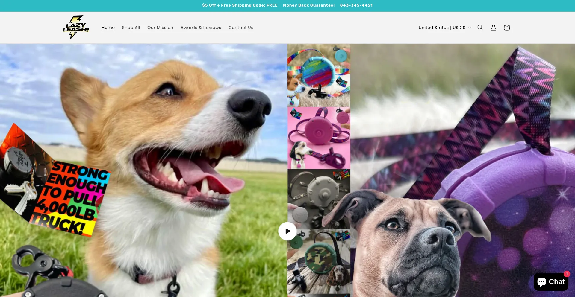 Lazyleash.dog