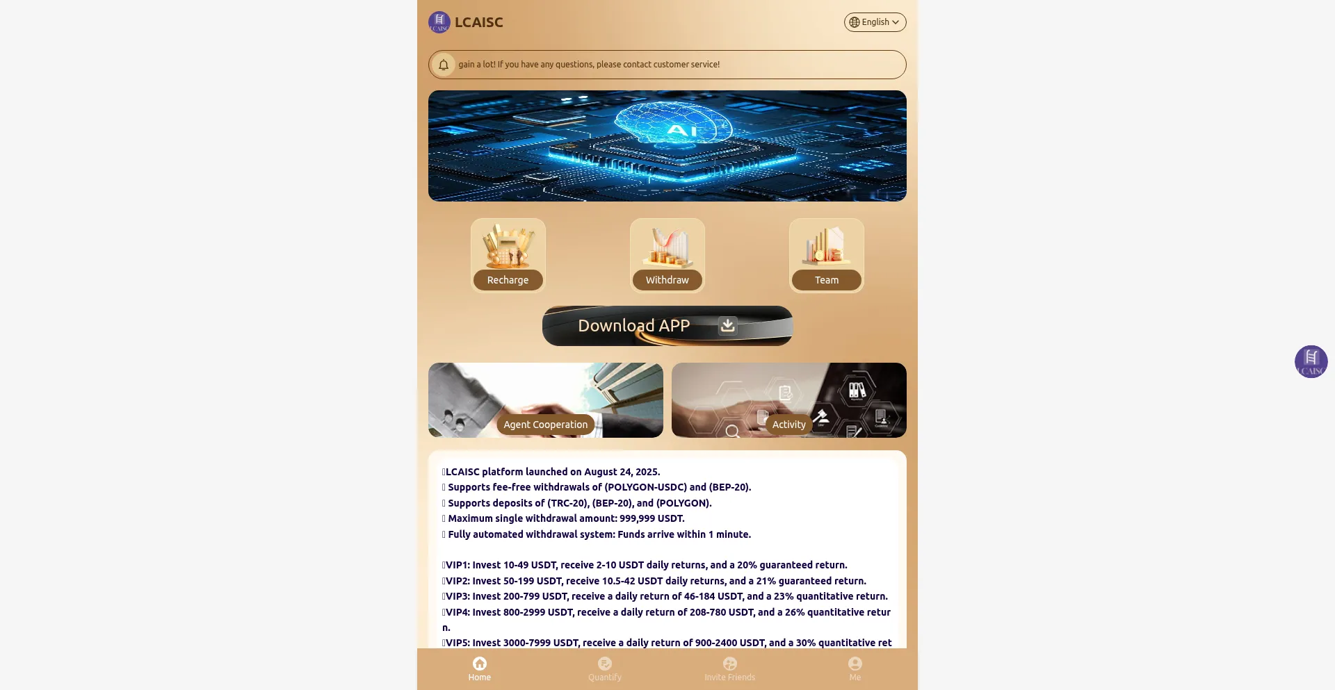 Website screenshot of Lcaisc.vip
