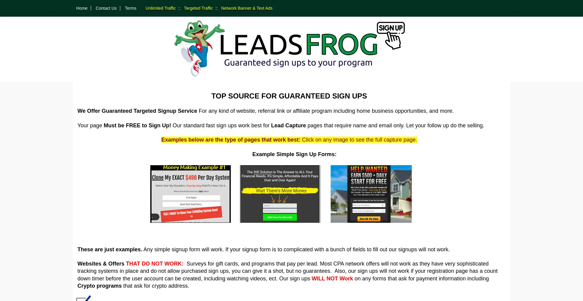 Website screenshot of Leadsfrog.com