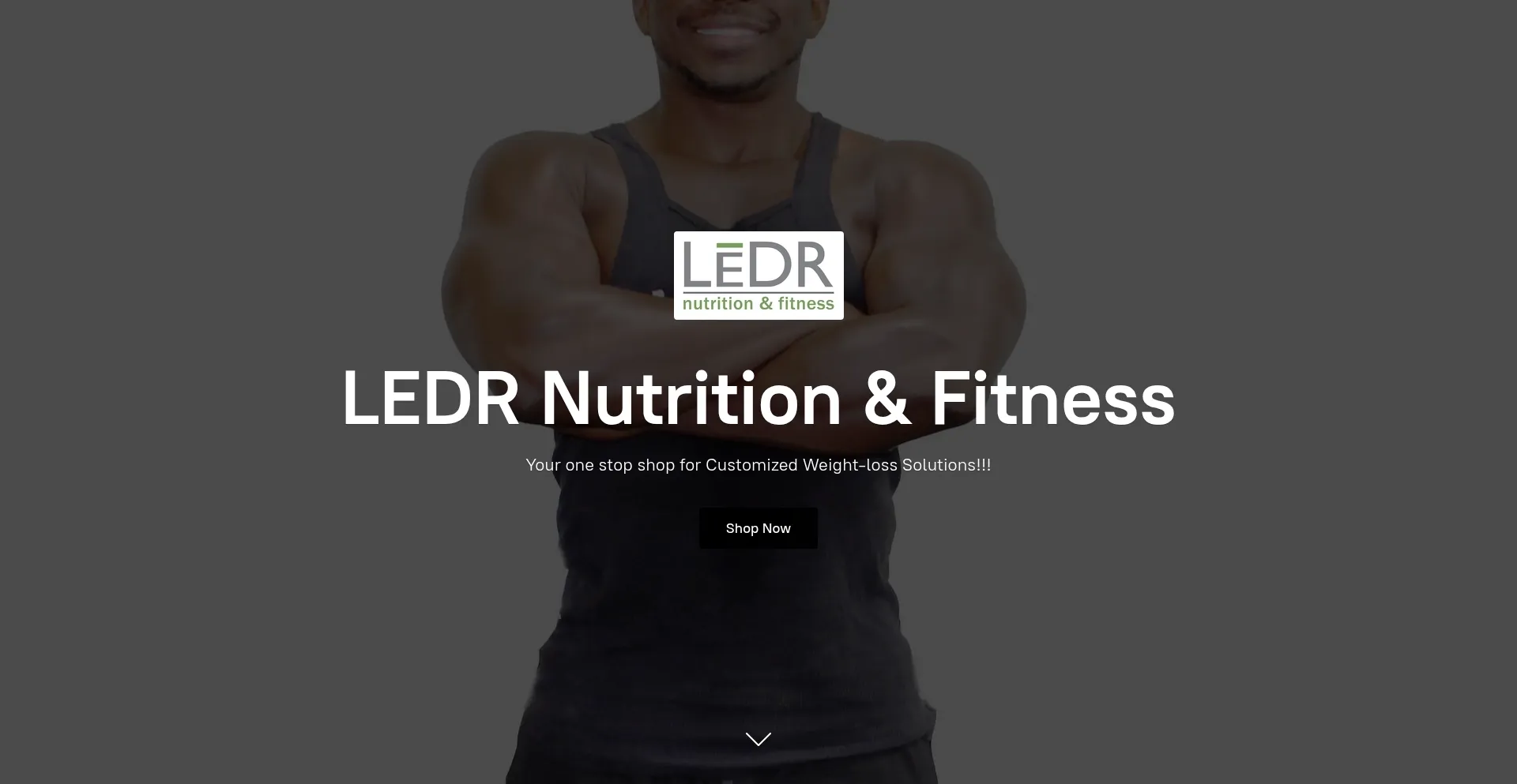 Ledr.company.site