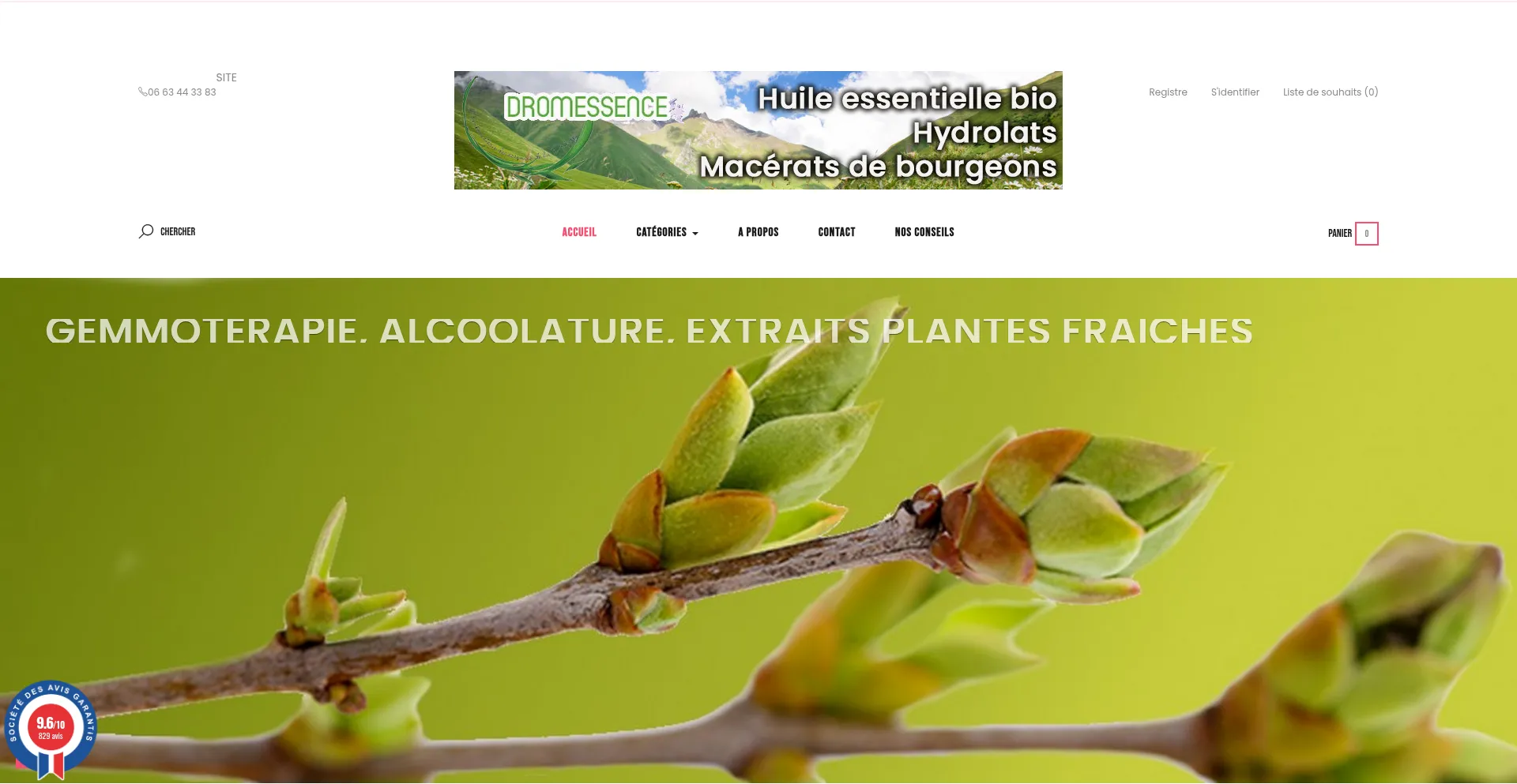 Website screenshot of Legrenierdubienetre.fr